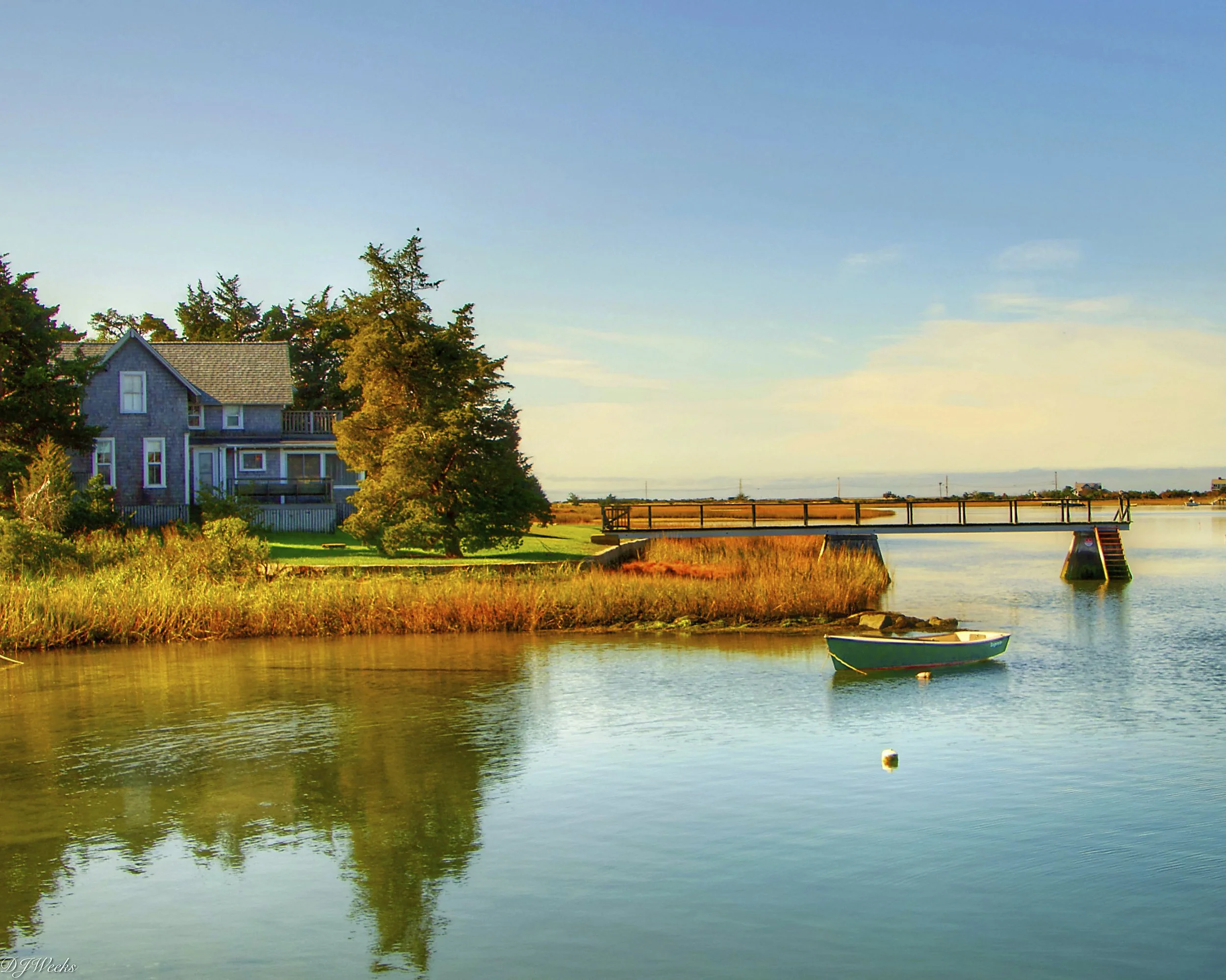 9 weeks 52439643553_7b4d72624b_o.jpg