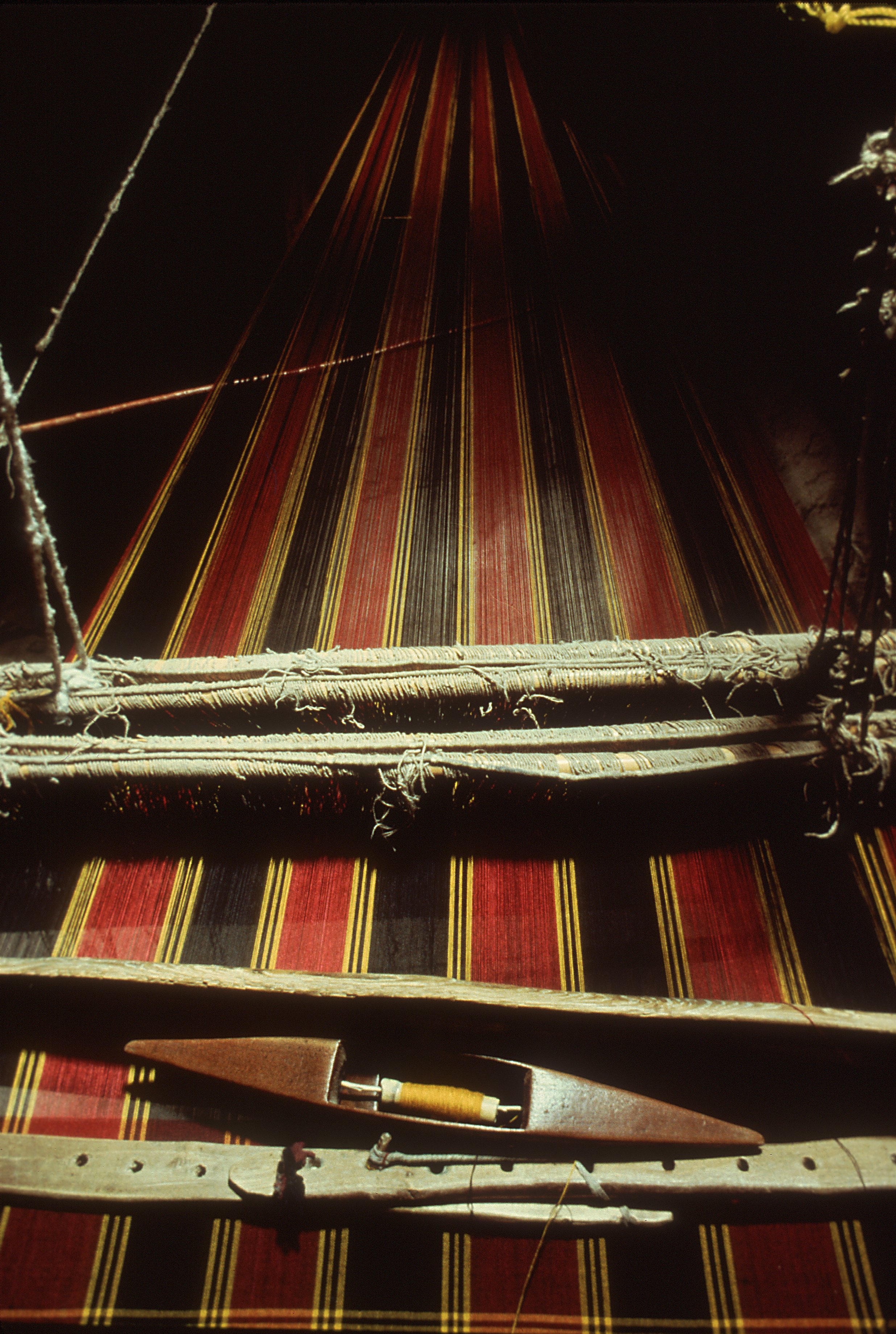 the loom.jpg
