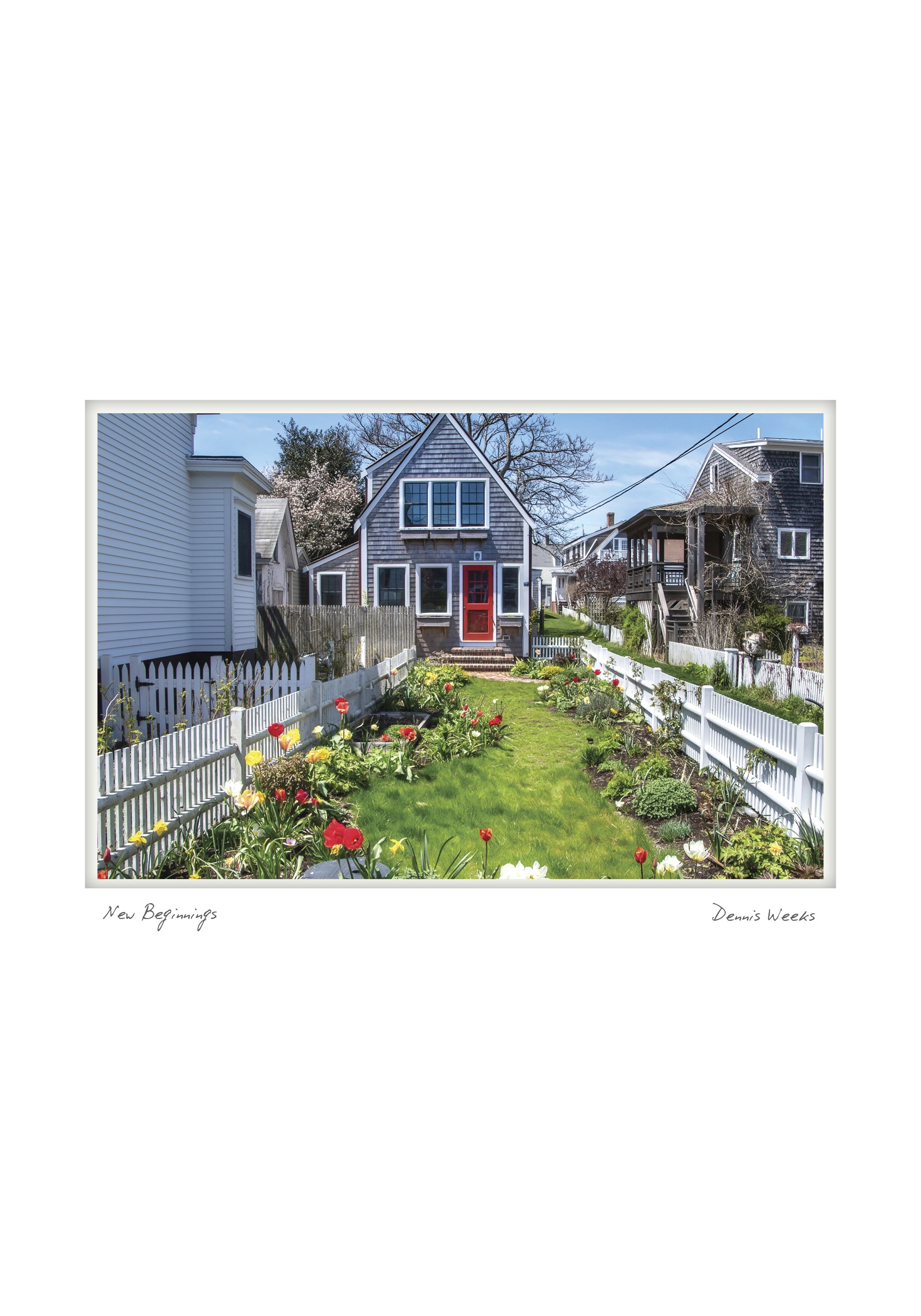 half NOTECARD_5X7_horiz5.jpg
