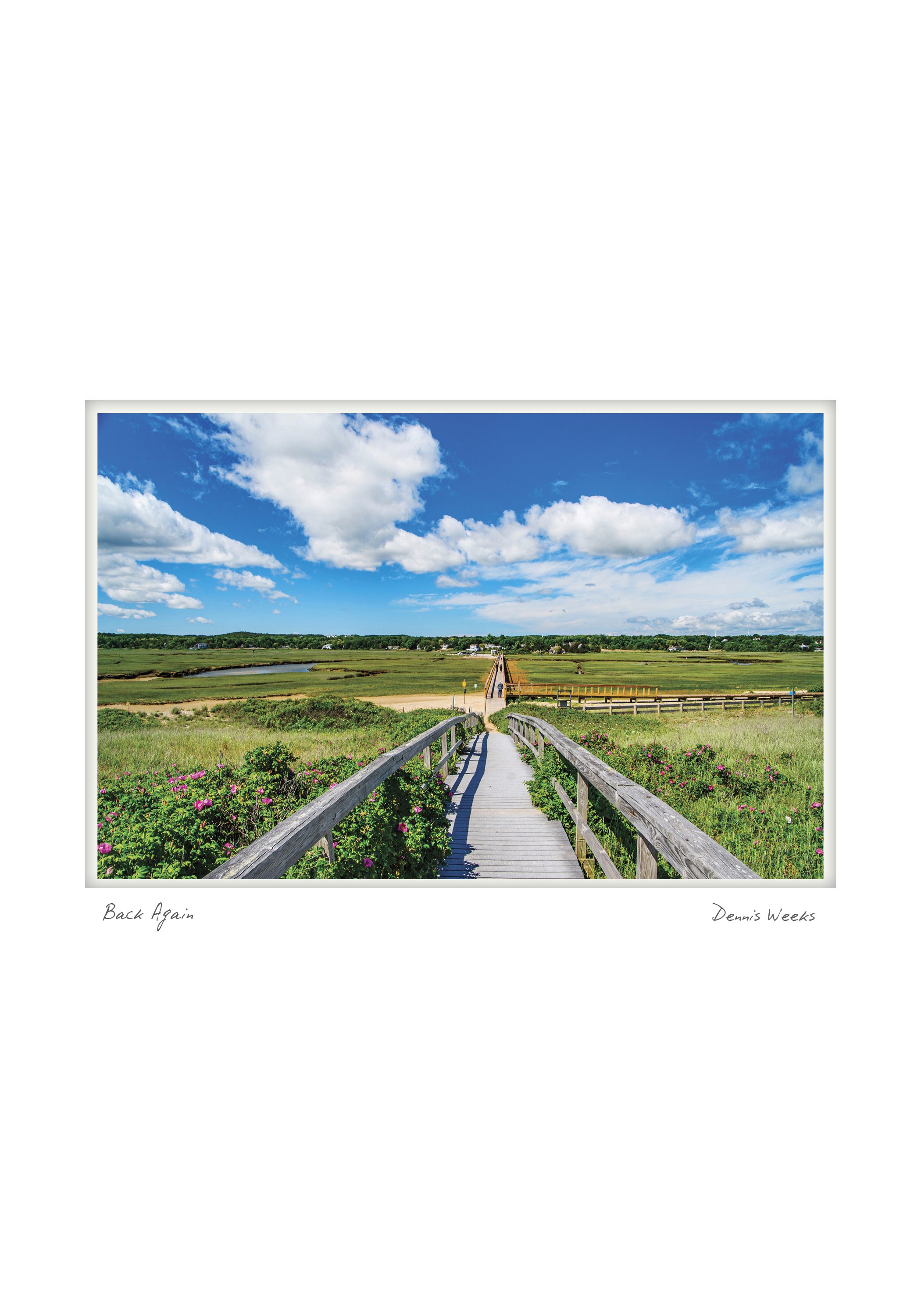 SANDWICH NOTECARD_5X7_horiz6.jpg