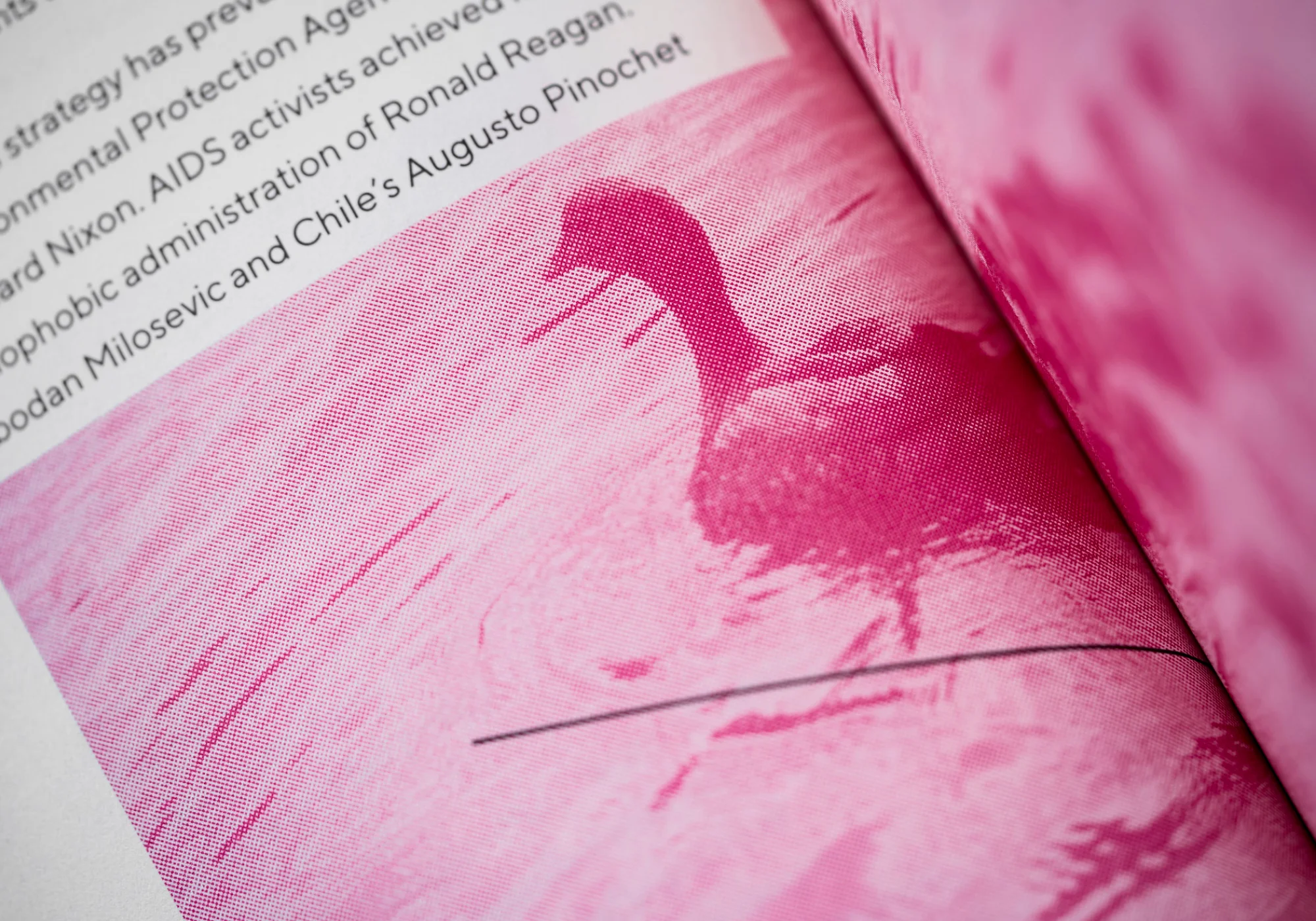 Reading_BeautifulRising_016.jpg