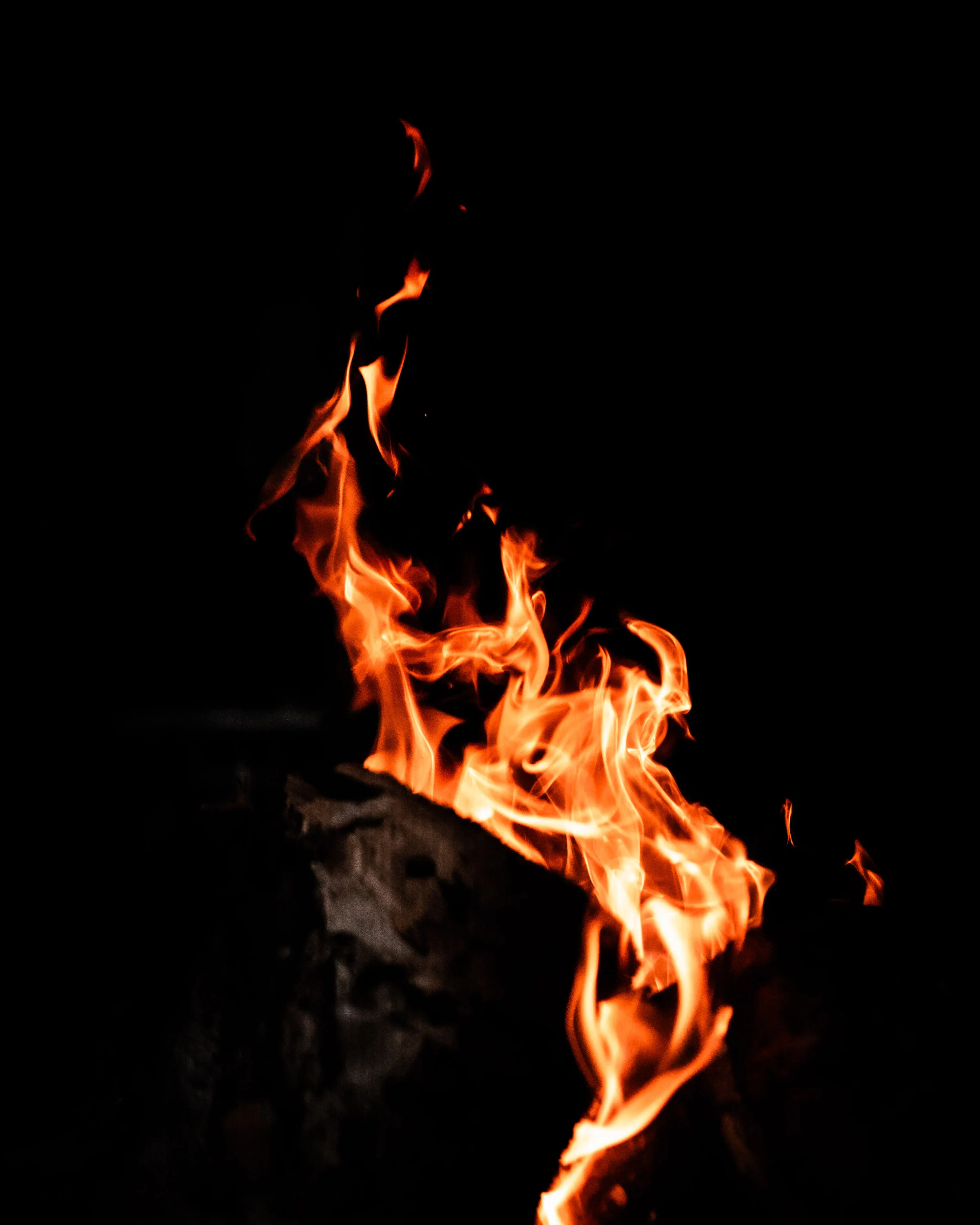 DSC08230.jpg
