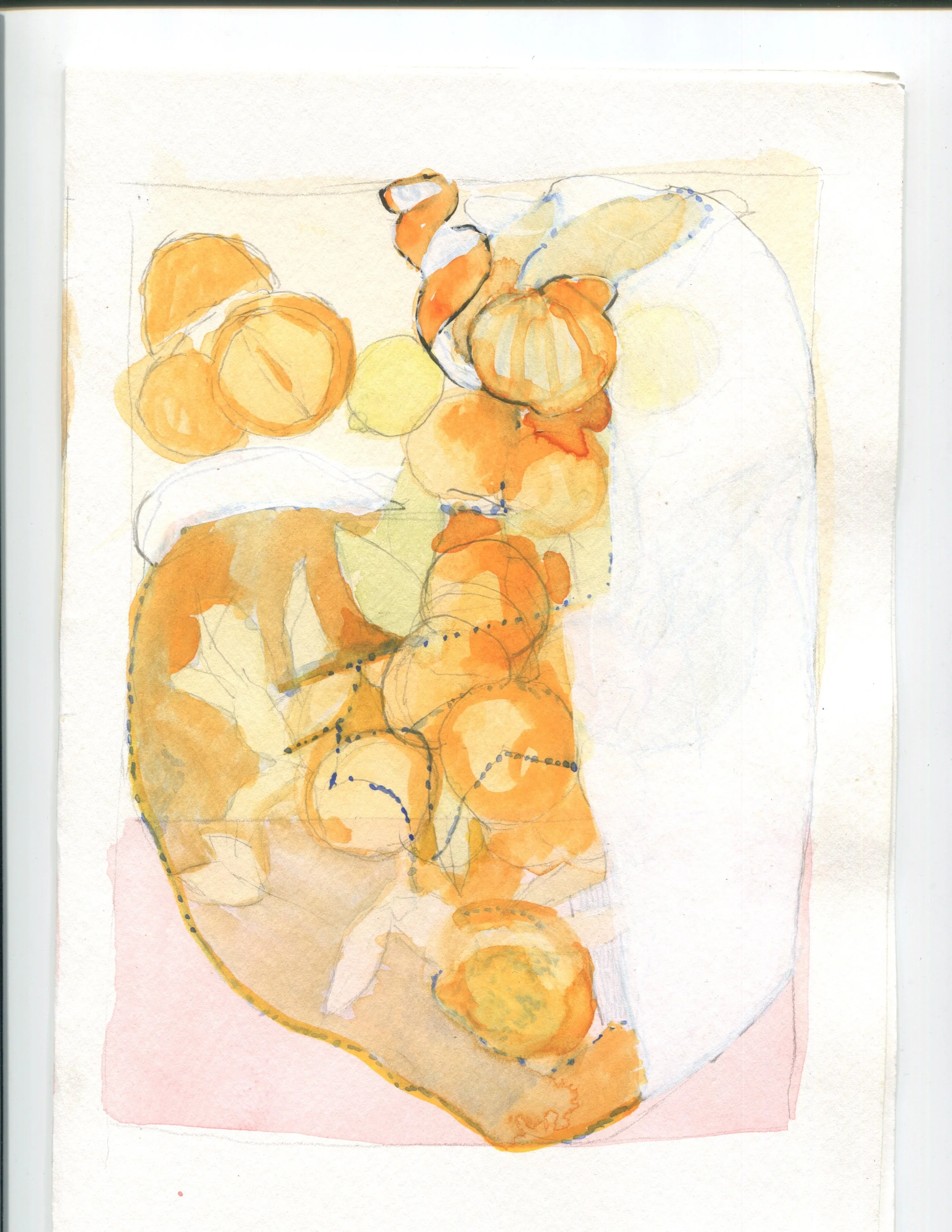 Scan 1.jpeg