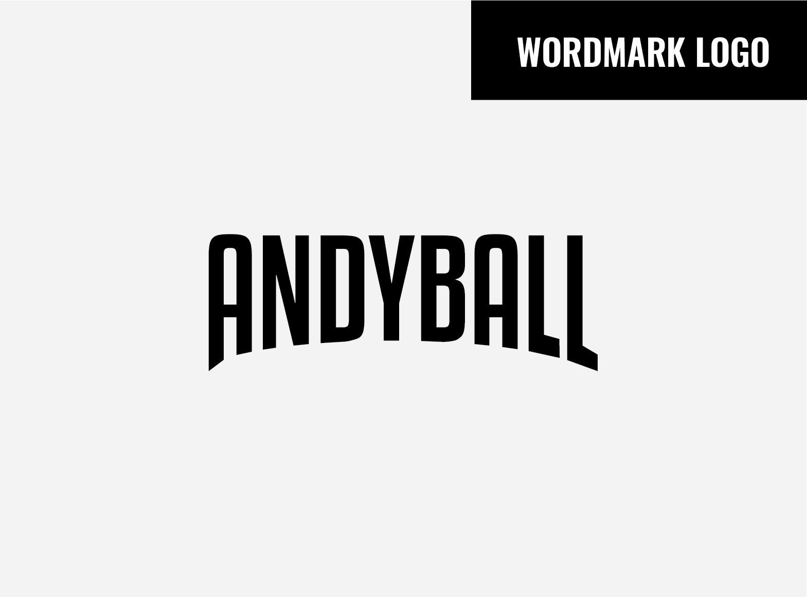 LAYOUT_Portfolio_ANDYBALL-06.png