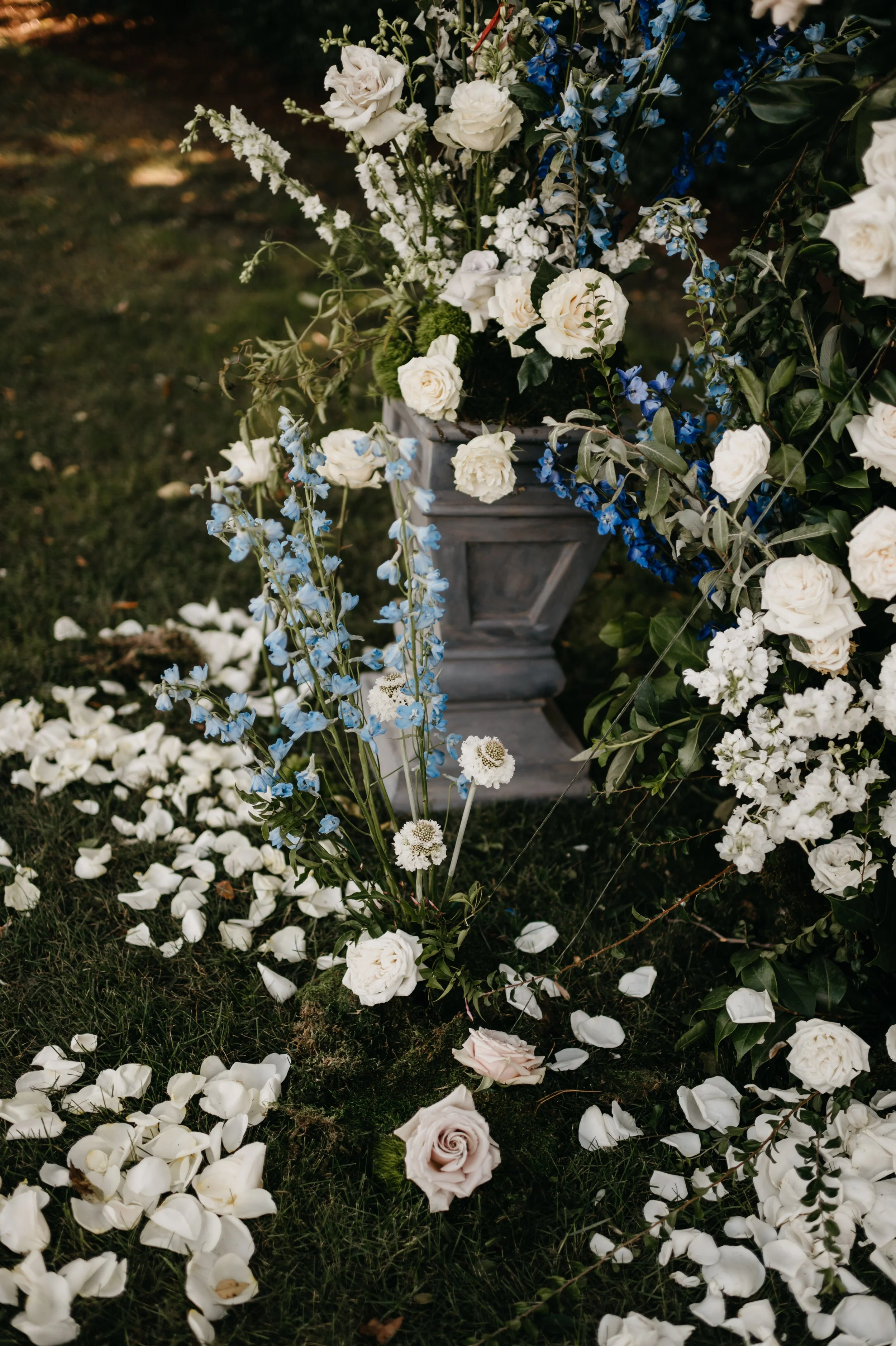 DSC_1833.jpg