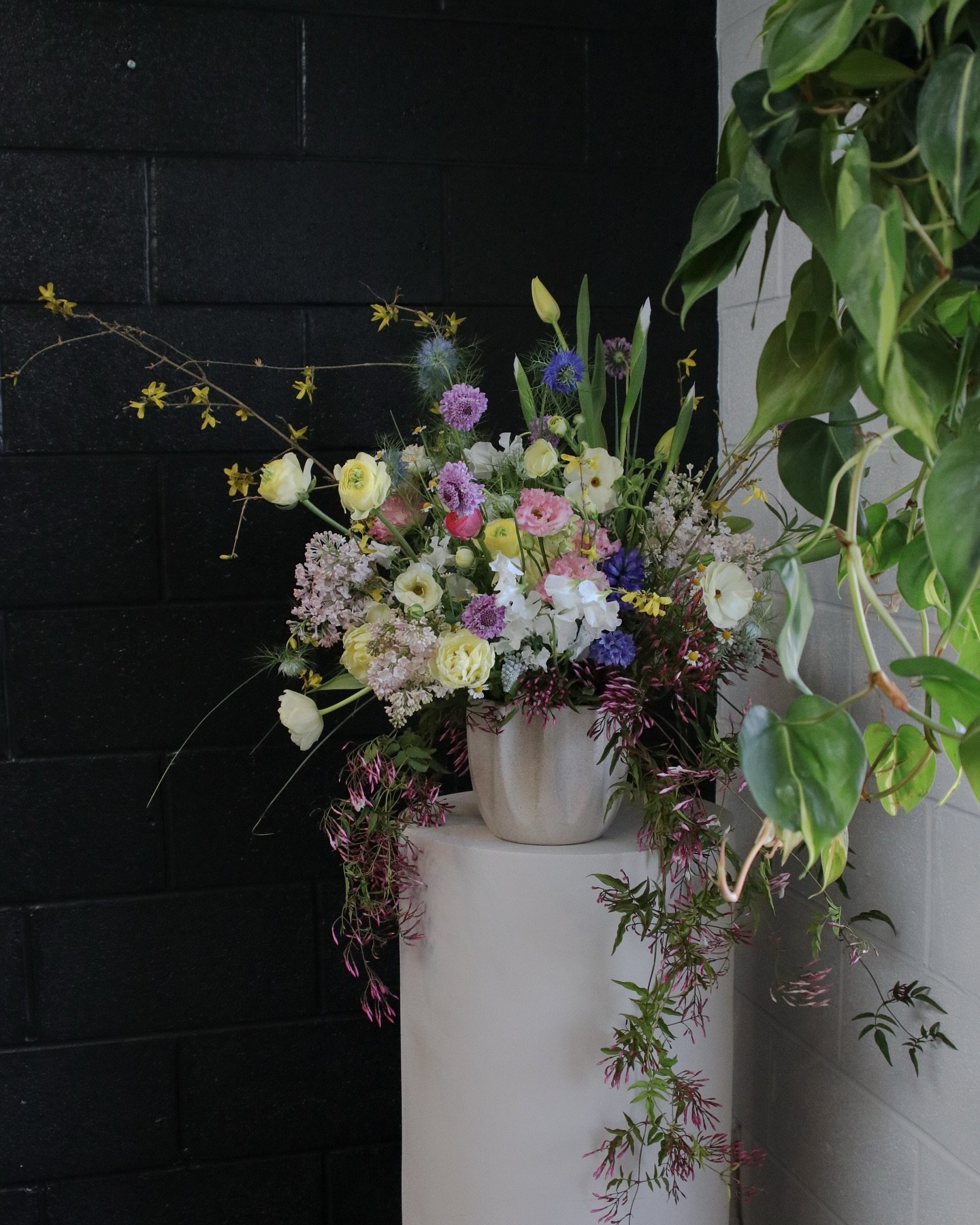 Soft, wild, and full of life. ✨🌿 This dreamy arrangement is giving all the spring feels&mdash;textured, organic, and just a little untamed
.
.
.
.
.
.
.
.
.
.
.
.
.
#spring #springflowers🌸 #southbend #southbendindiana #michiana #wildflowers #wildfl
