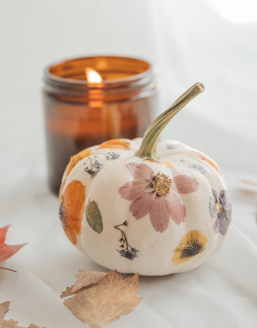 Pumpkins & Petals