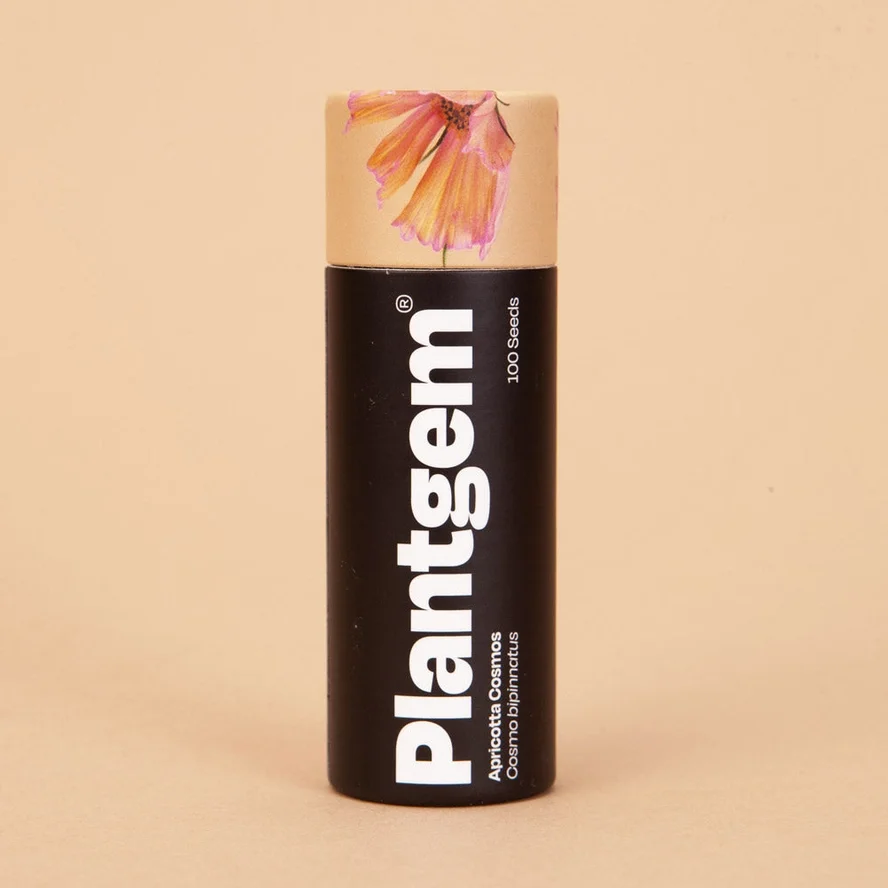 cosmo apricot  seeds.webp