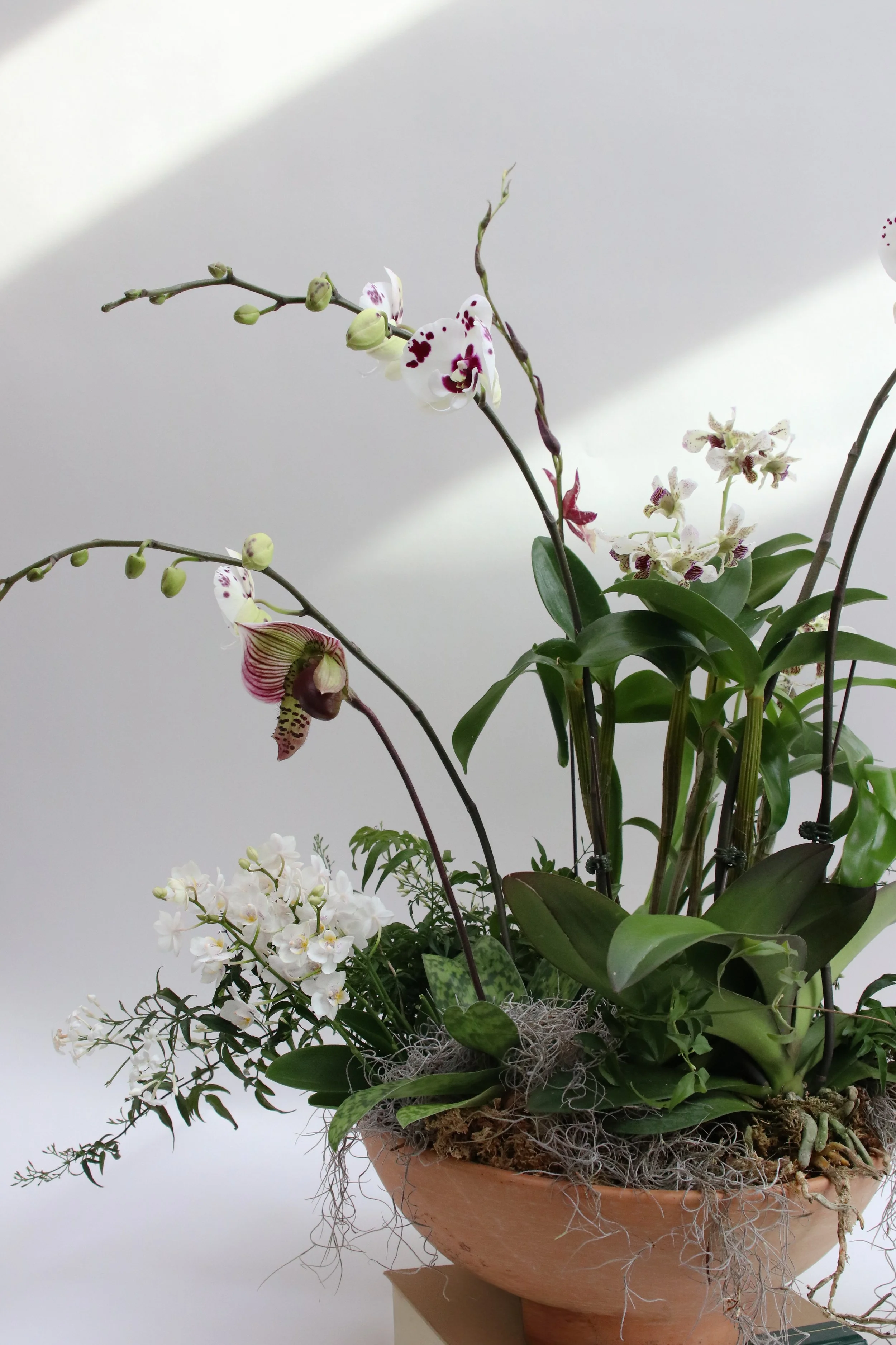 Mixed Planters- Starting at $55-400