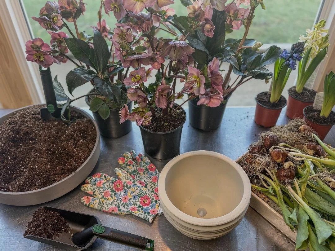 Blooming Plant Workshop- March 26th