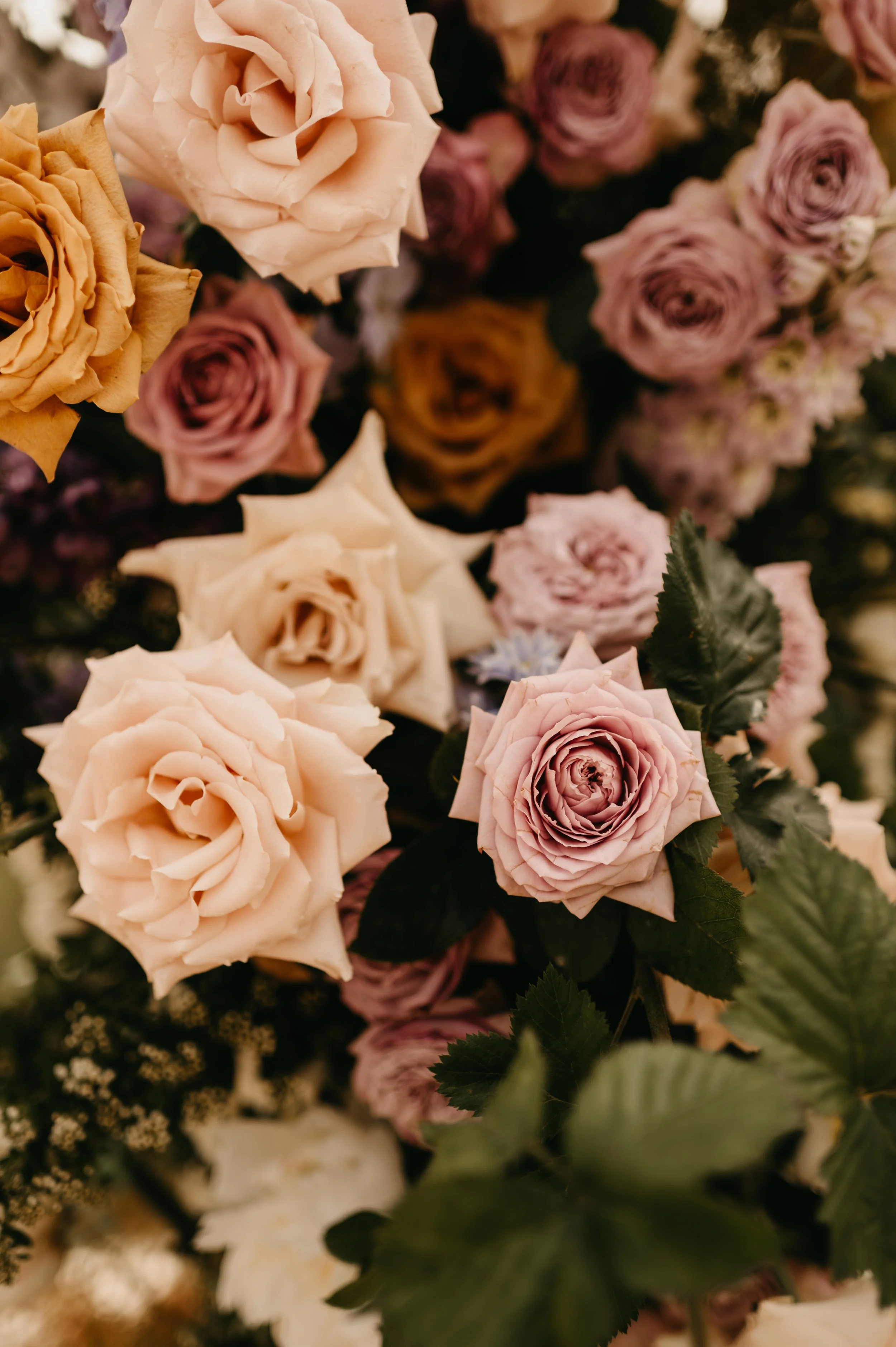 Flat Lay/ Cake Flowers- Lavender Haze