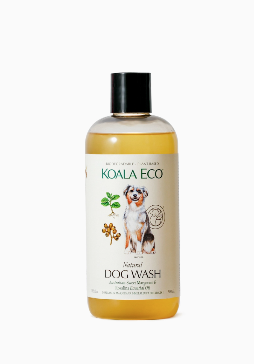 Screen Shot 2025-01-16 at 1.44.10 PM.png