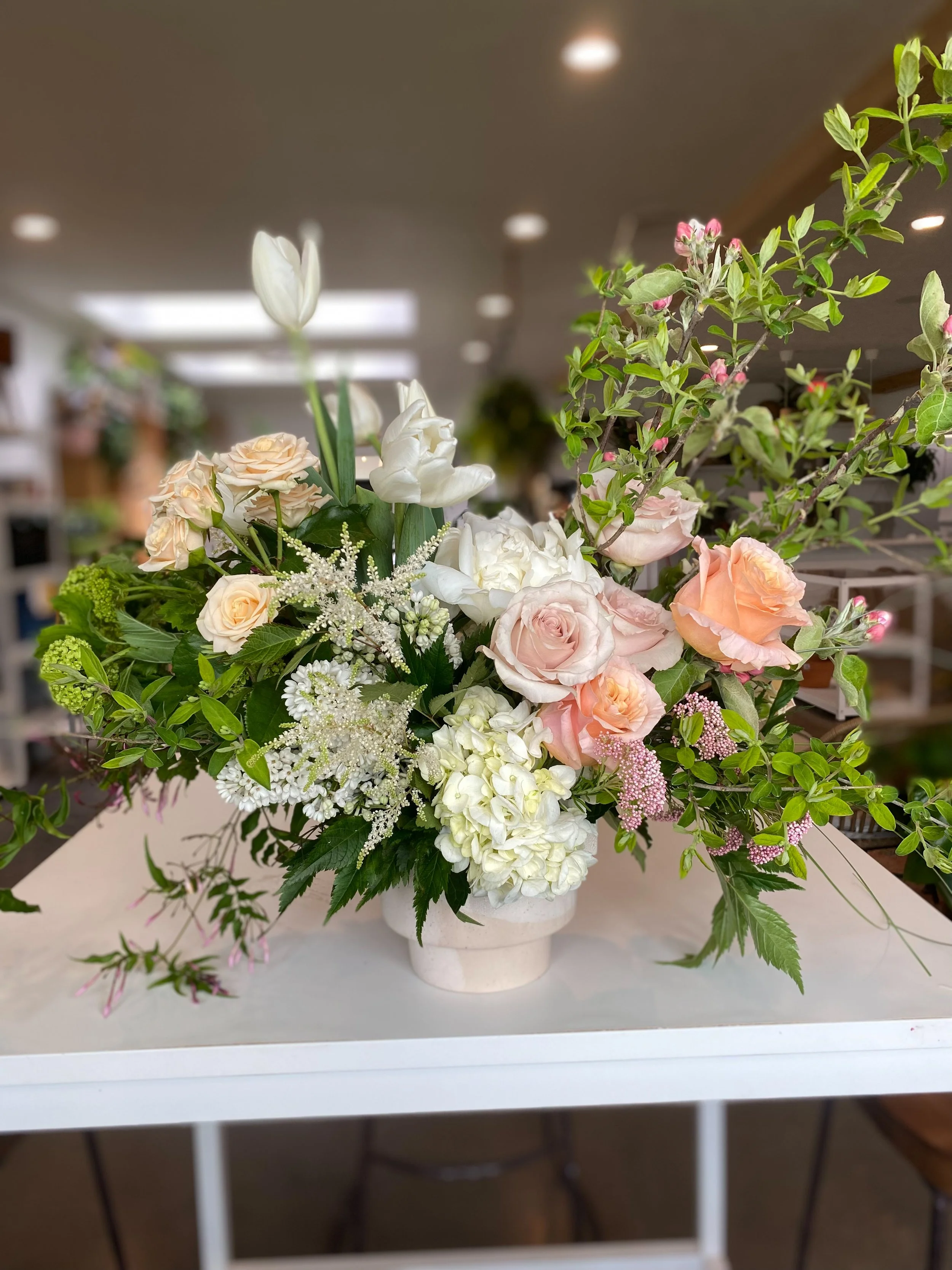 IMG_3707_jpg (1).jpg