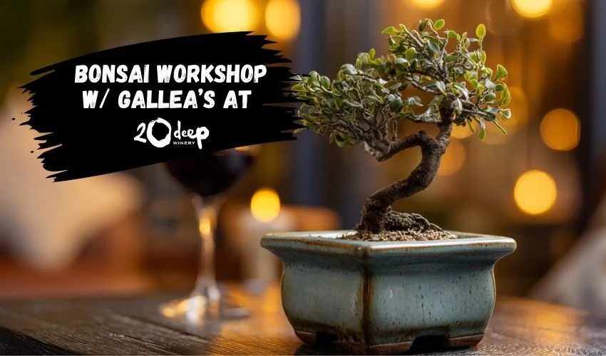 Bonsai Workshop with Gallea’s