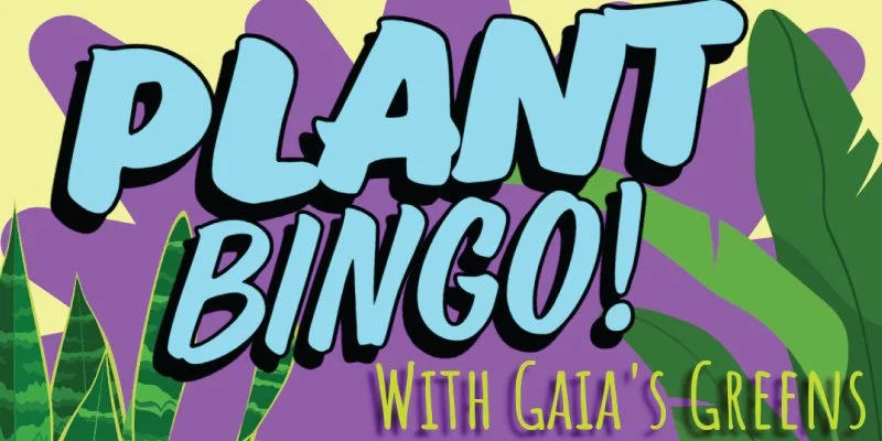 Plant Bingo at Hazlitt Red Cat Cellars