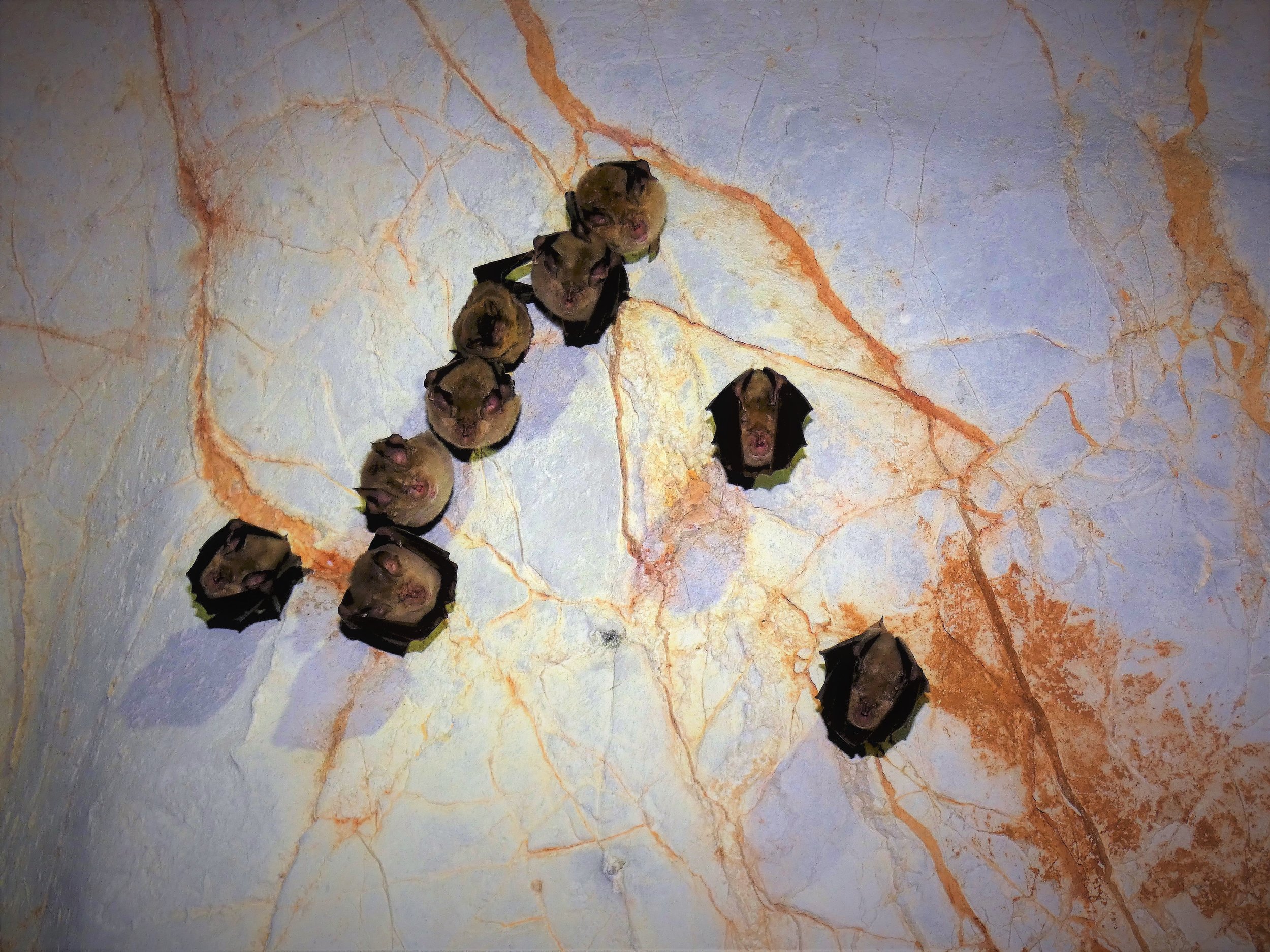 P1000257i.jpg