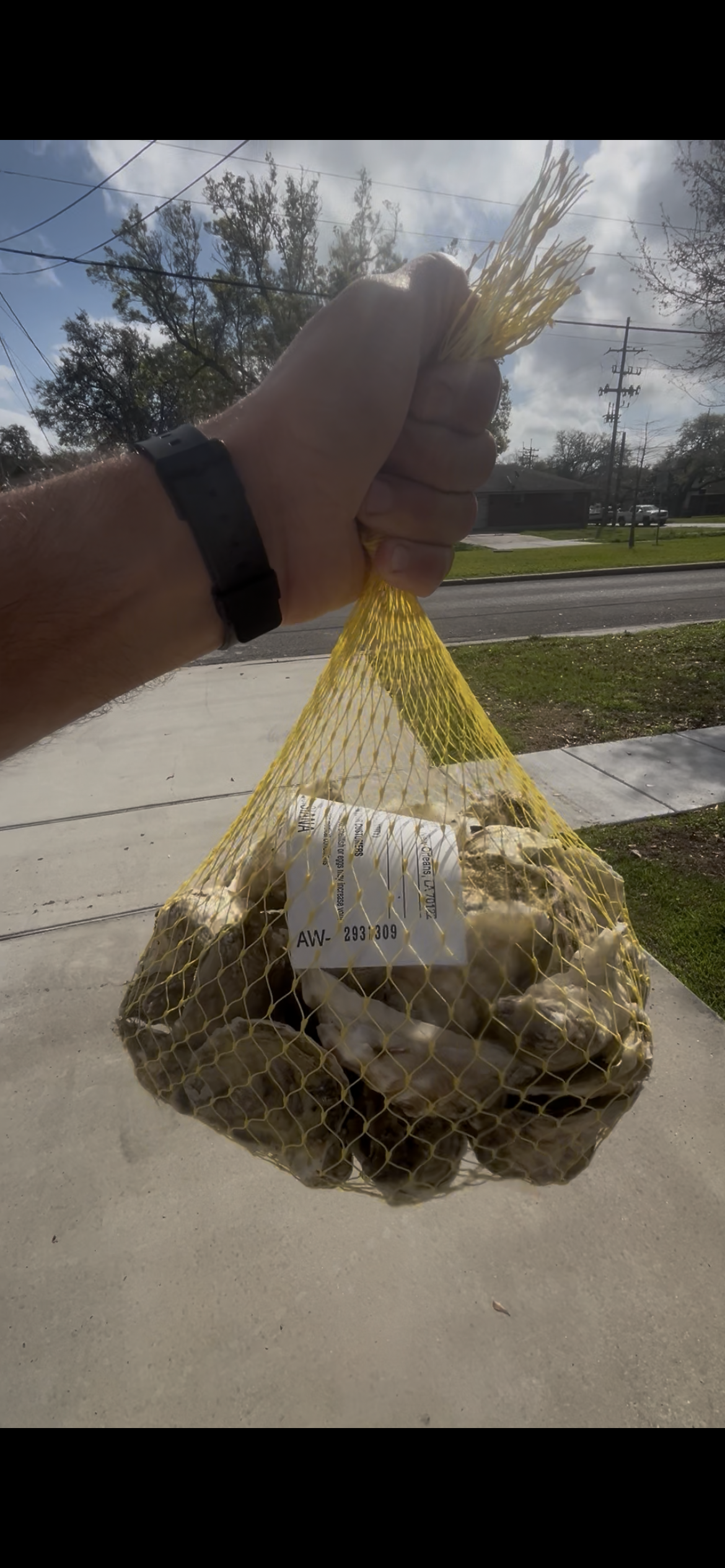 Bigguns, 3/13-3/14 pick up