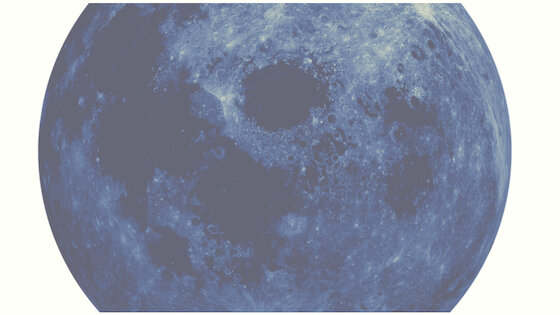 Luna Love Banner.jpg