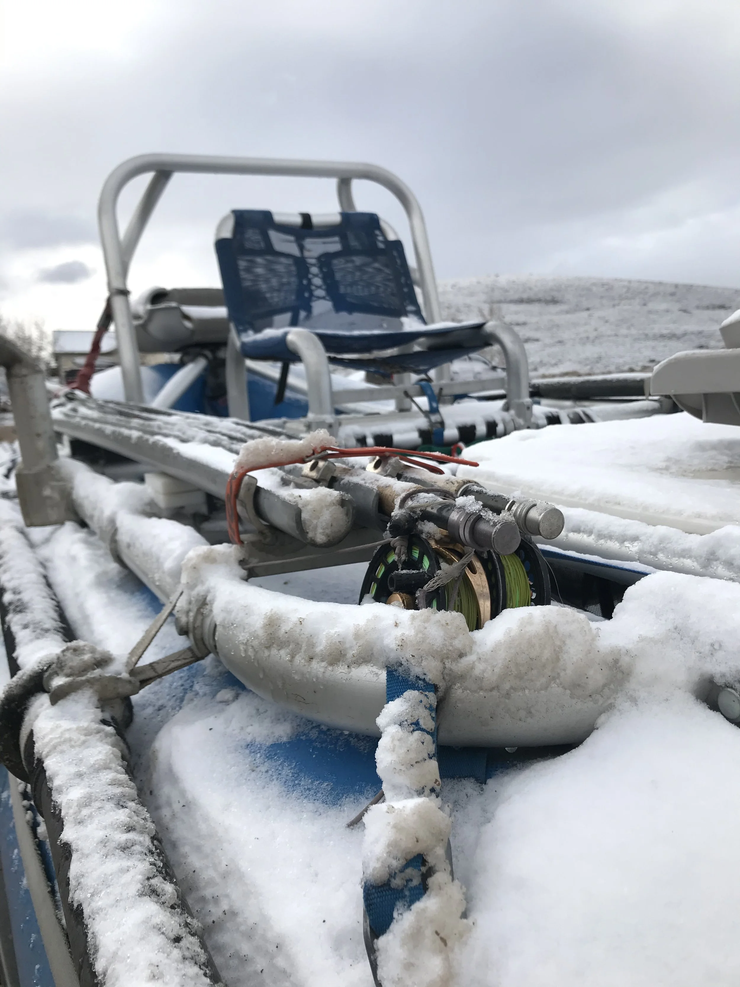 Early Season Greediness