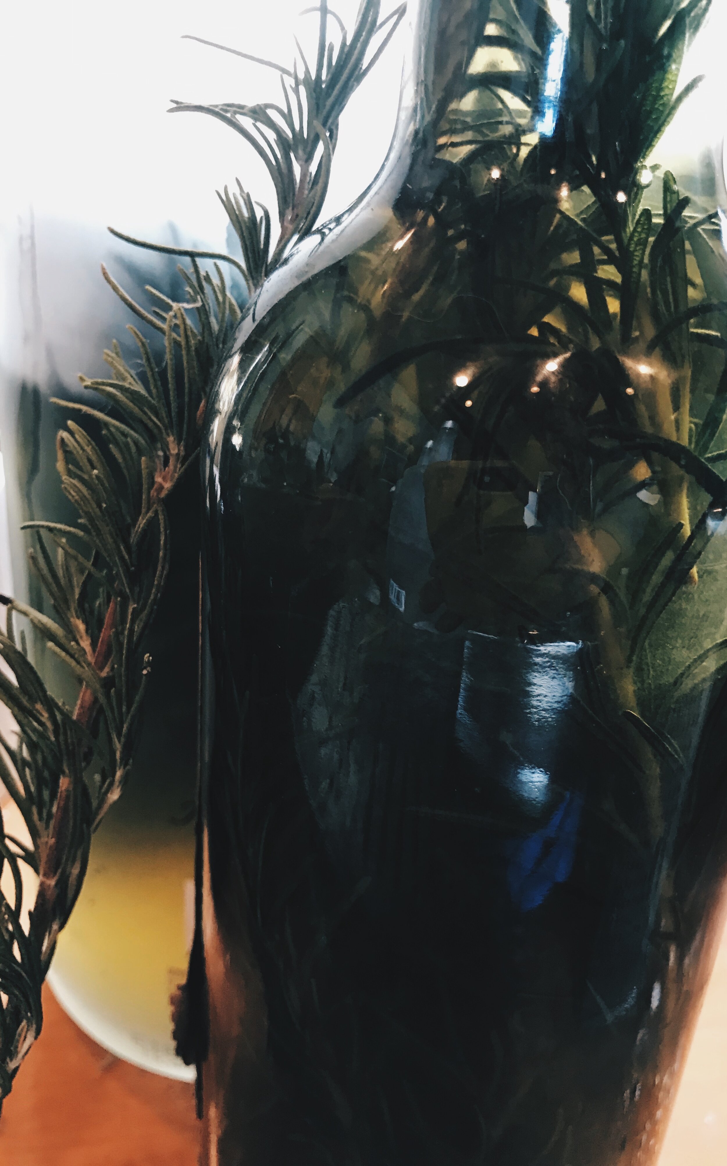 This week at Prairie Moon Herb... 