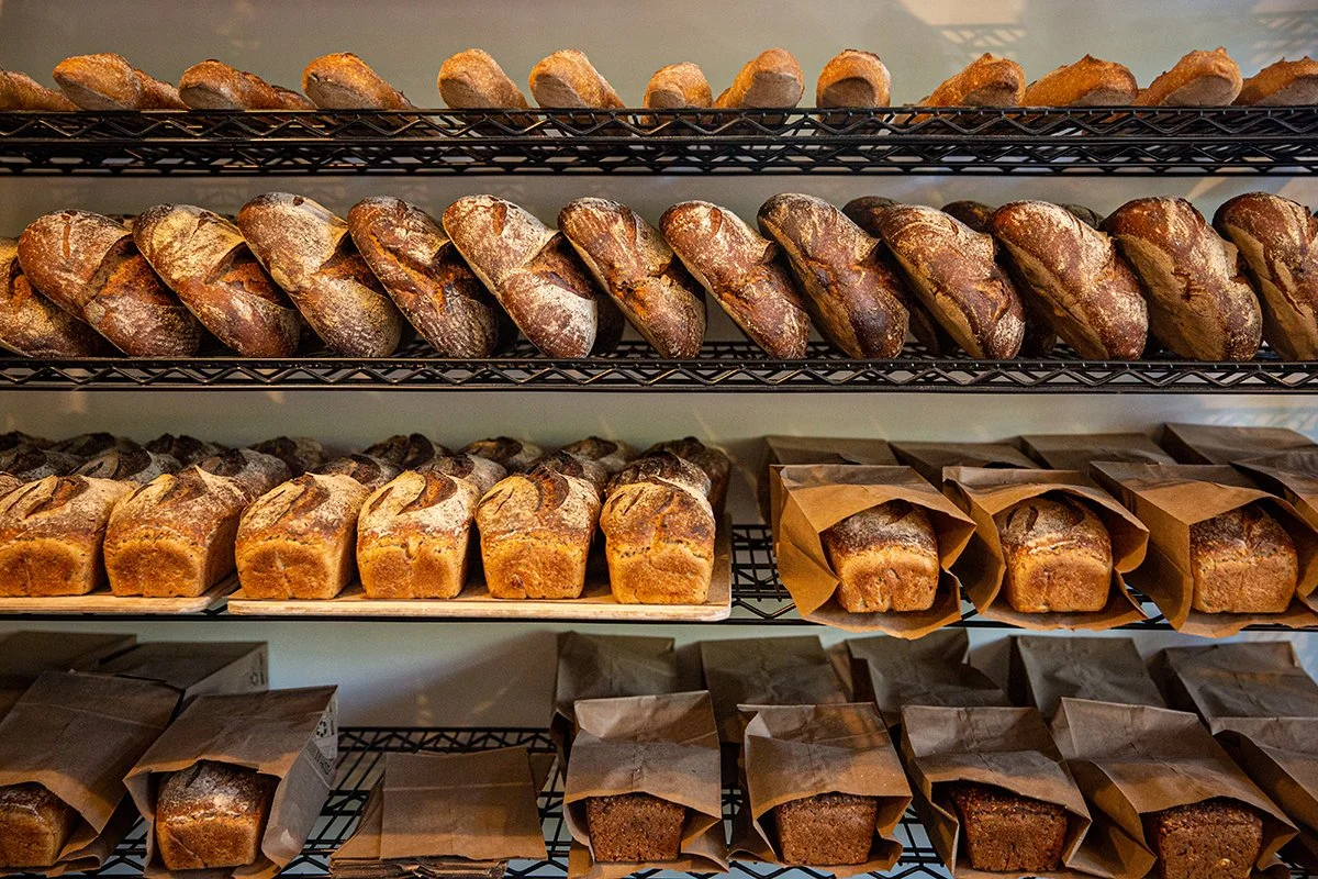 Starter Bread