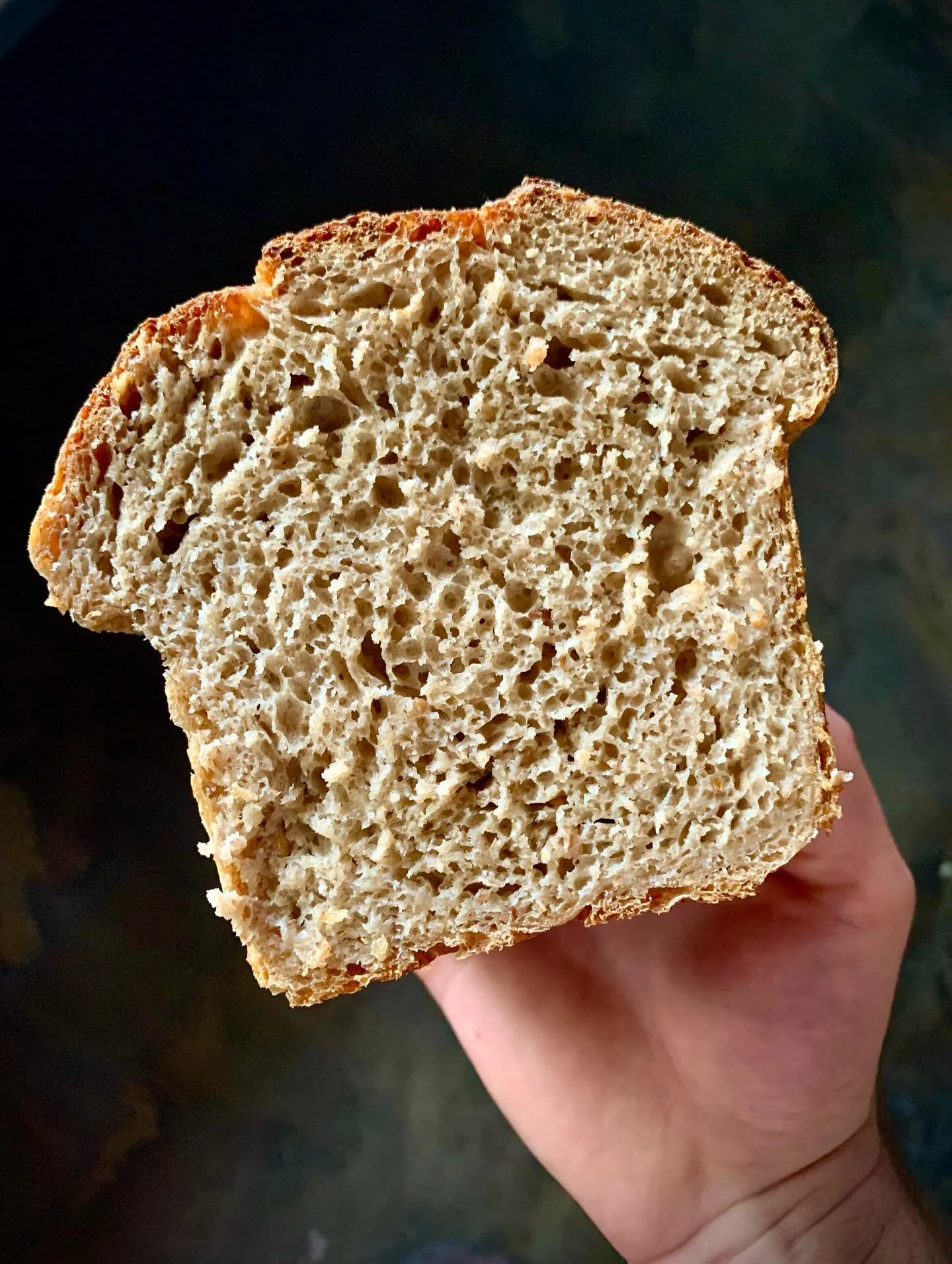 TRITICALE, a cross between rye and wheat, is beloved by farmers for a number of reasons, and we&rsquo;ve found it to be super delicious in bread and pastry. In comparison to other grains it&rsquo;s a bit of a stud (it was even in a 1967 Star Trek epi