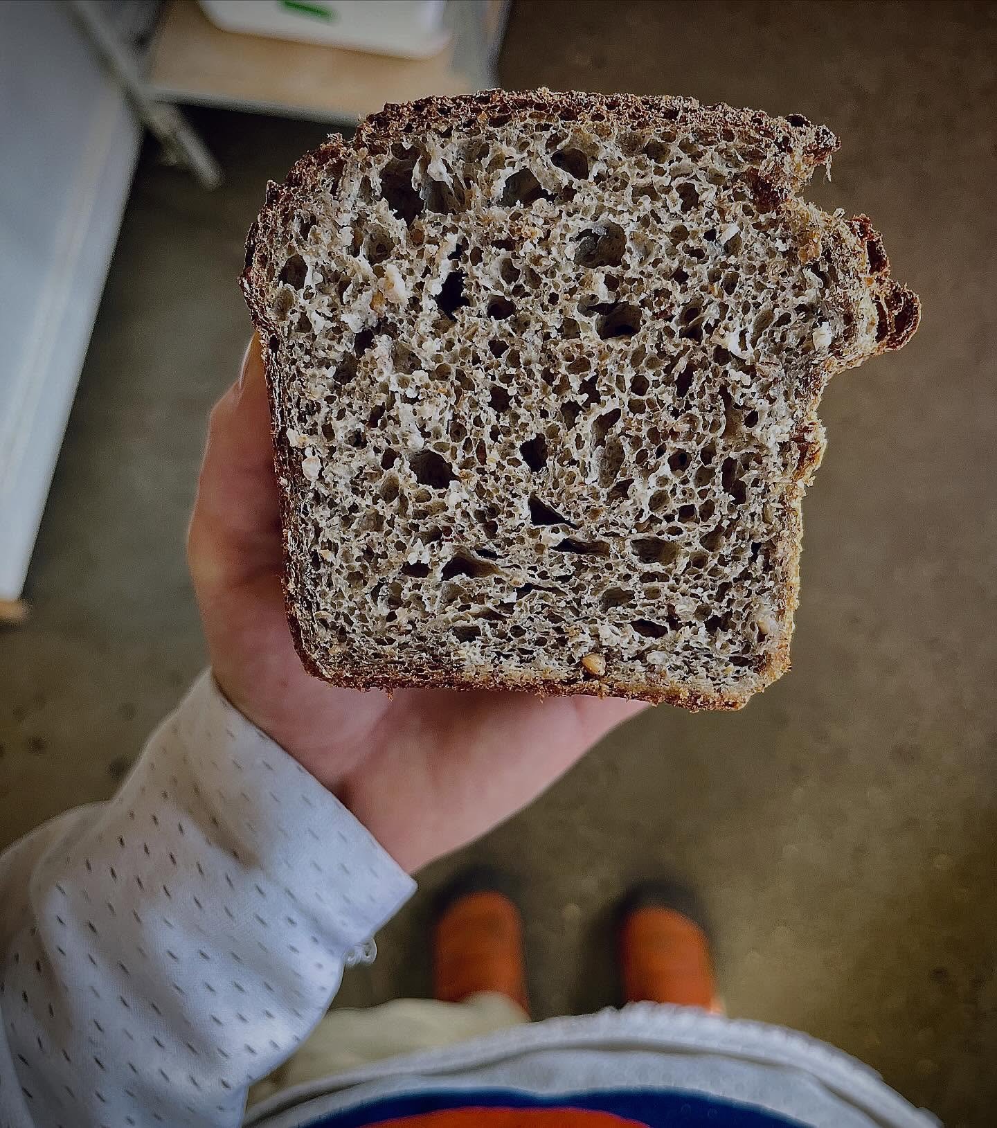 Rhubarb relative, aromatic sonofagun, BUCKWHEAT 🖤