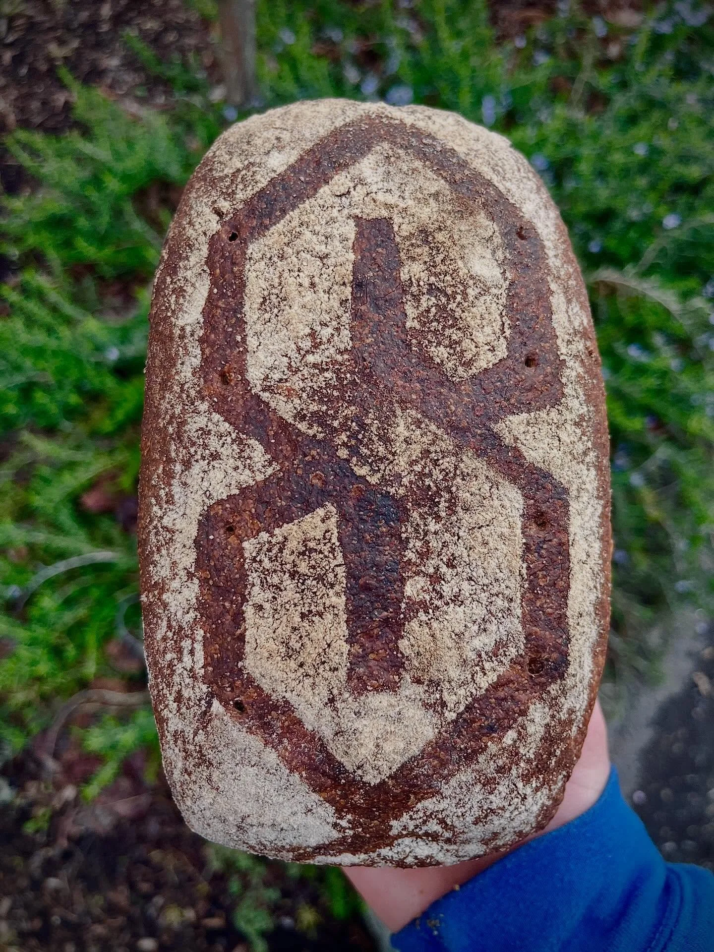 SPRING INTO SPELT 🌸