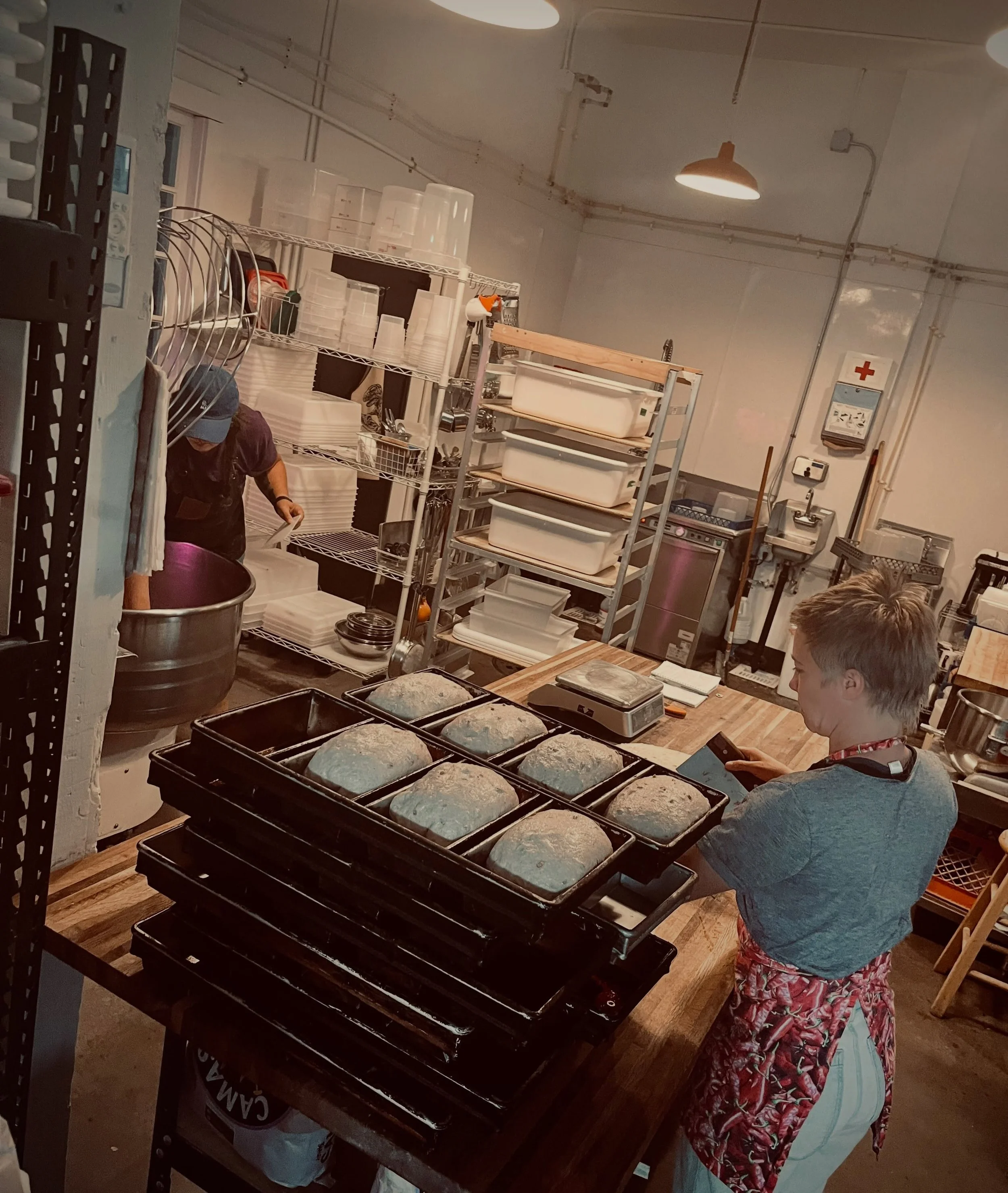 Menu changeup this week! Welcome EGGPLANT SLAB, BLUEBERRY LEMON BUN, PEACH BARLEY SCONE and more. TURKEY PESTo v GARBANZO n PICKLE sandwich. Sunday Parkways is this week 🚲so walk, ride, or park at the bank 🤫 Love you seeyou 🔜