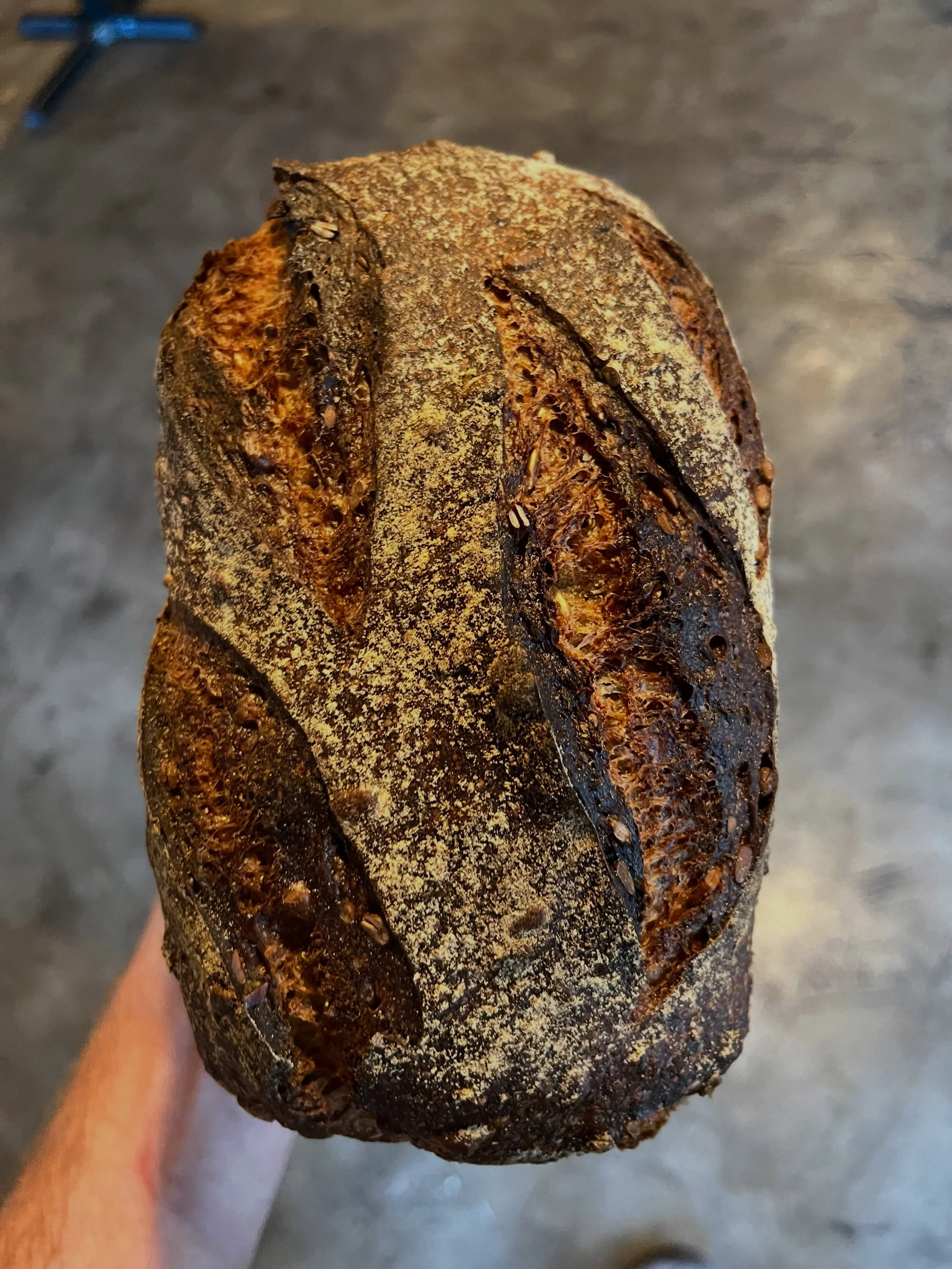 We are in the bakery all week making sourdough bread that we sell by subscription (to eliminate waste!), all the while balling cookies, filling pie and snails, and twirling pretzies for Sunday. Looking forward to it!! 10a-2p ❤️

BAGUETTE 
P0LENTA 🌞
