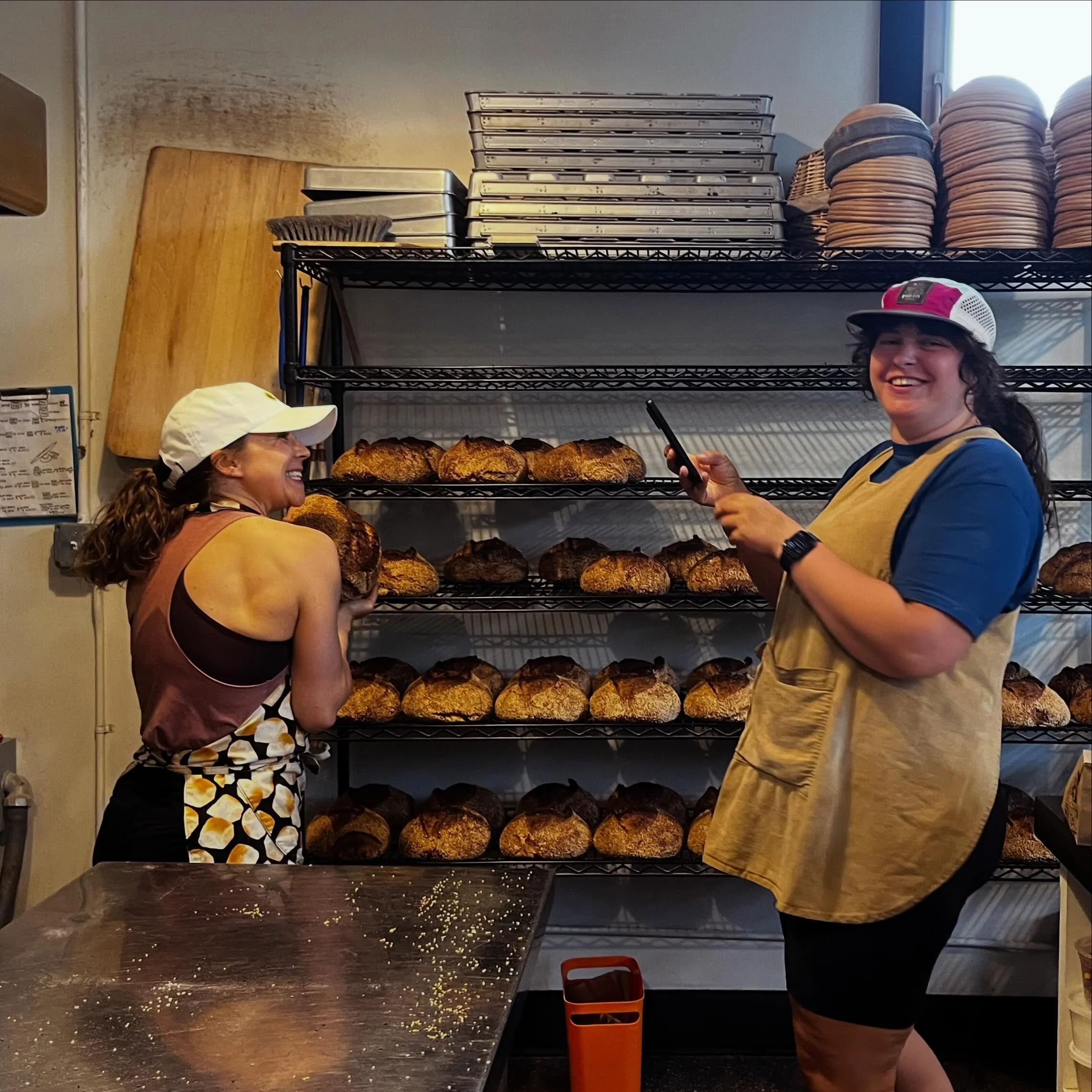 🍞🍞sIGNups are OPEN 🍞🍞 for JULY!
a look at the lineup:

FARM BOULE - rustic round with @chimacumgrain 🌎🌾 and a rye starter 🤤 

DURUM - golden and toasty @camascountrymill beauty 💛🤎 

BUCKWHEAT light yet grainy, and filled with aromatic kasha?