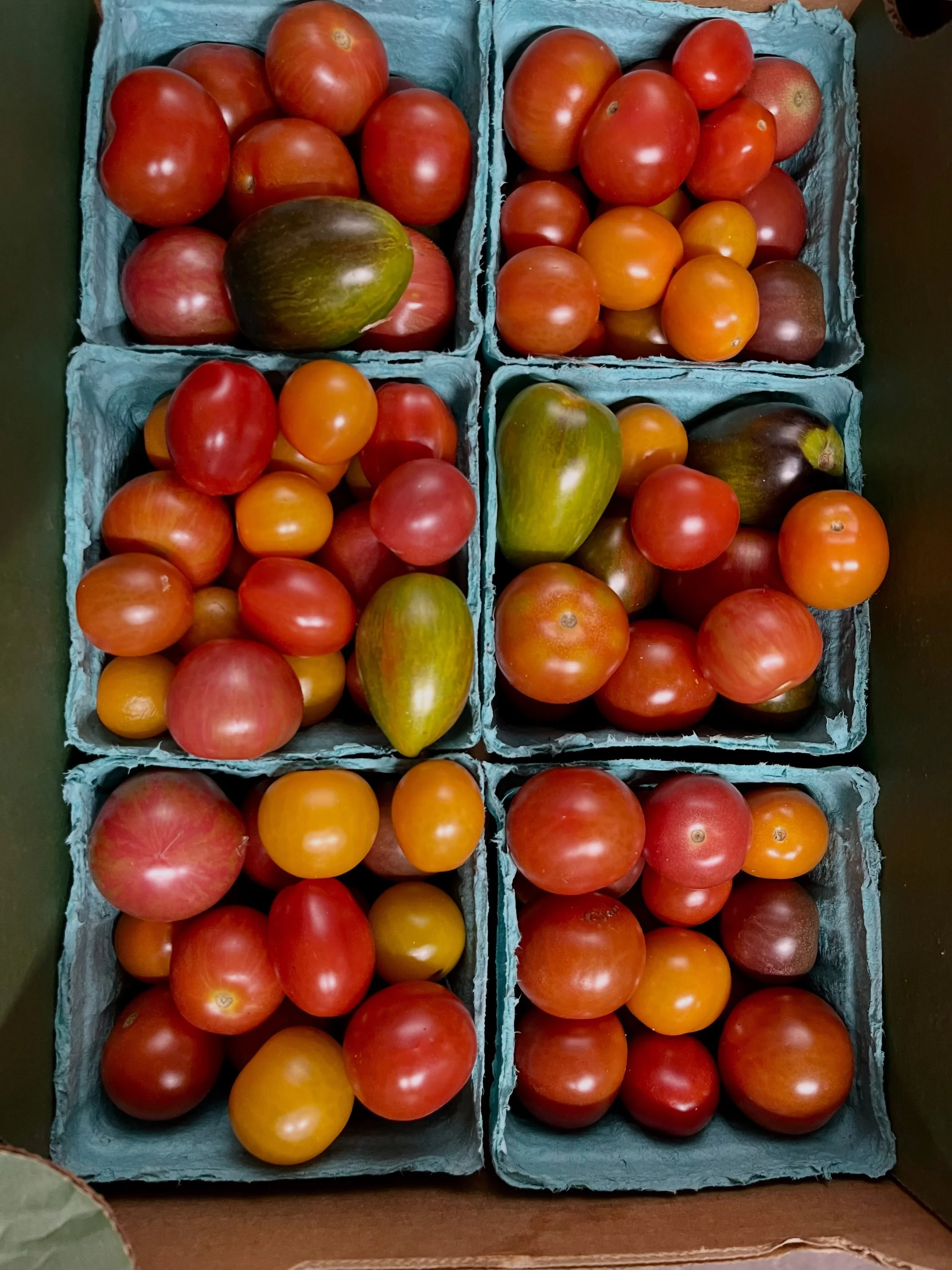 😎 SUMMER SUNDAY so much beautiful fruit+veg from the neighborhood, and local grain sourdough, 10a-2p, menu on last slide plus HAM n&rsquo; CHEESE, SCUTTLEBUTT sandwiches 🤩