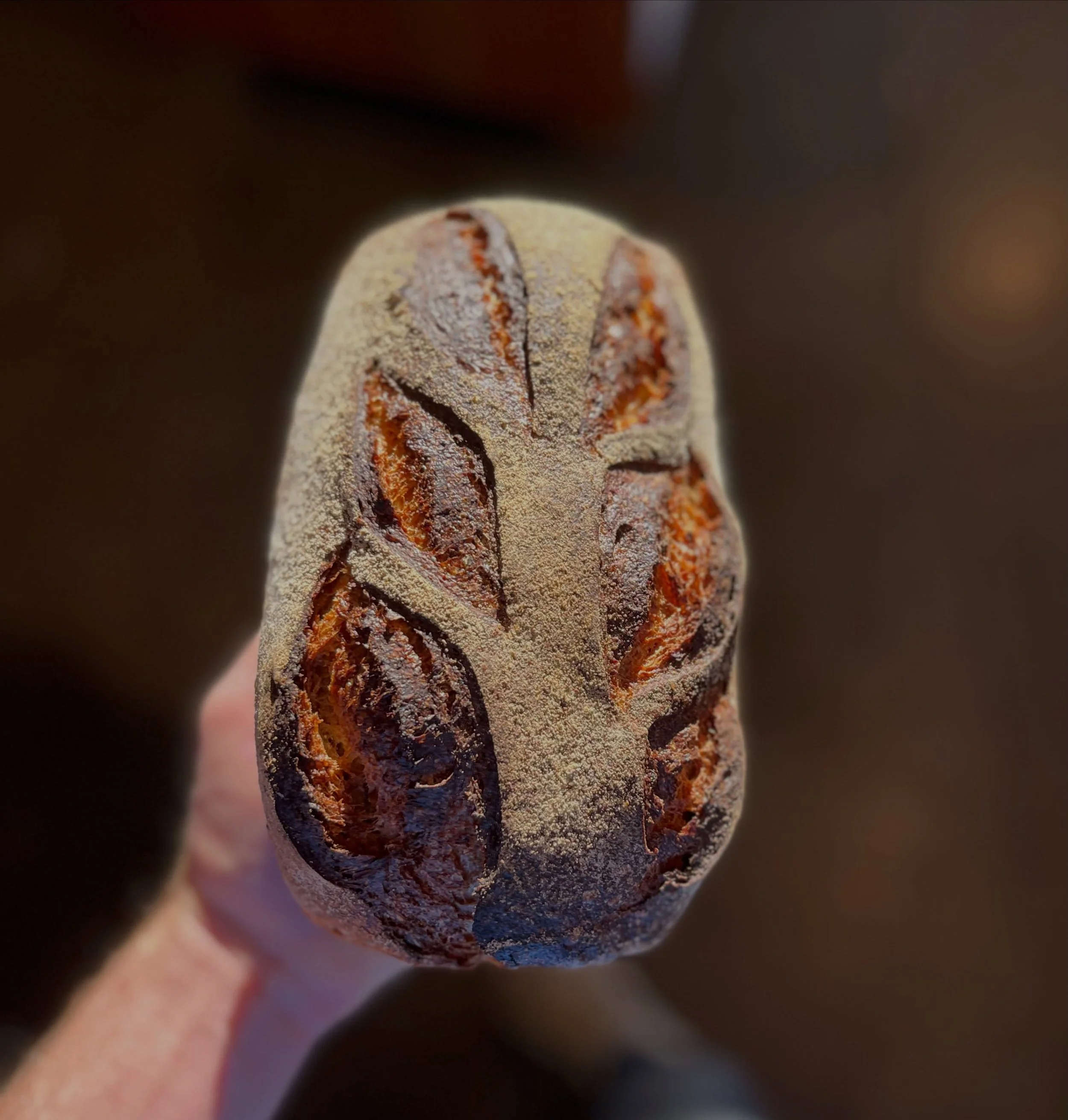 OCTOBER signups r open with some faves ahead:

SUNFLOWER RYE * toasted sunnies, sprouted rye, a mix of local flours w a rye starter

FARM BOULE * country bread-ish, flour, water, salt, and cultured rye w/ @chimacumgrain #climateblend

DURUM * toasted