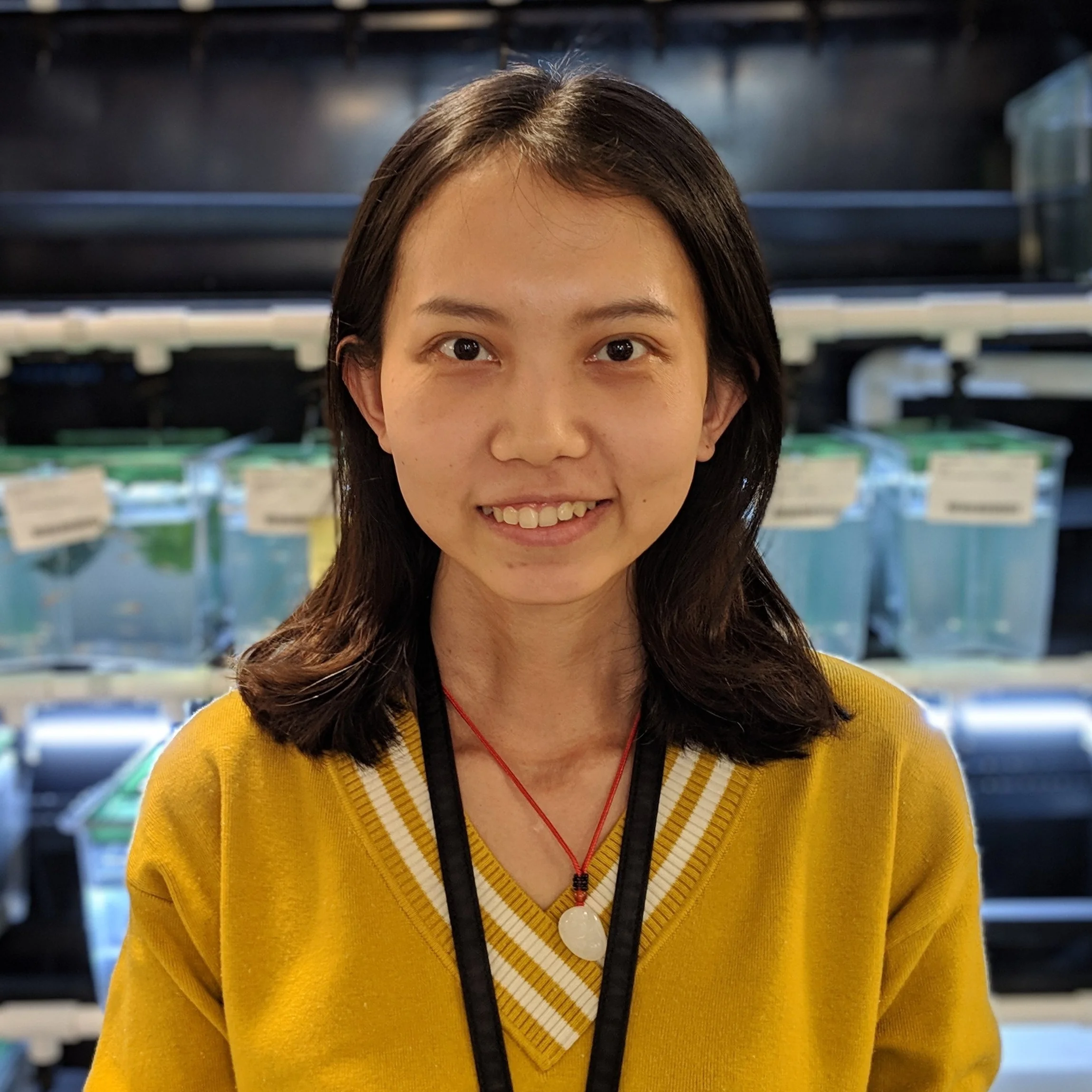 Qiqi Yang *bio under construction; check back soon!