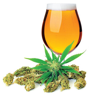 cannabis beer.jpg