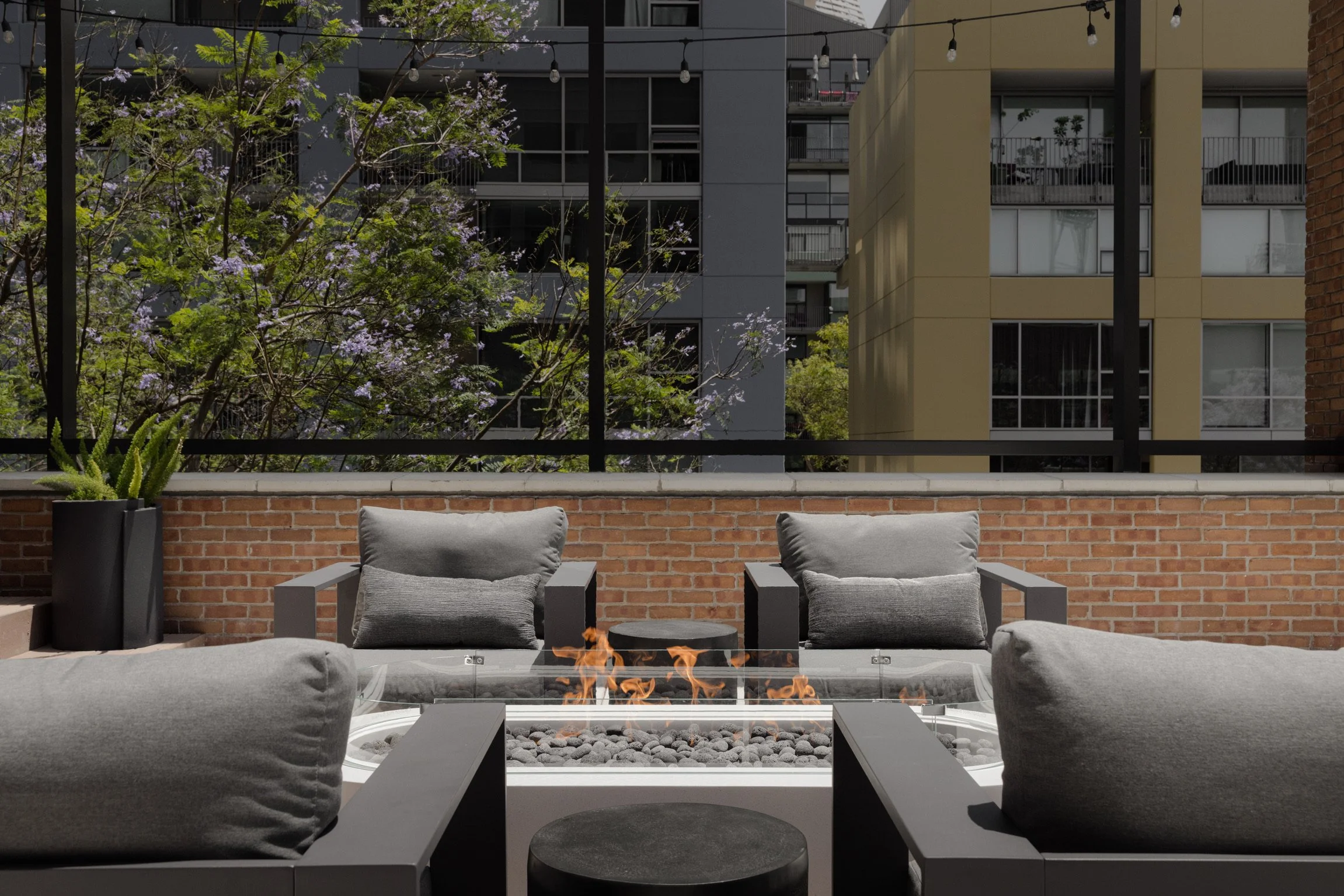 F55825B2-4191-4E2B-8D21-B706A747C89E 2.JPG