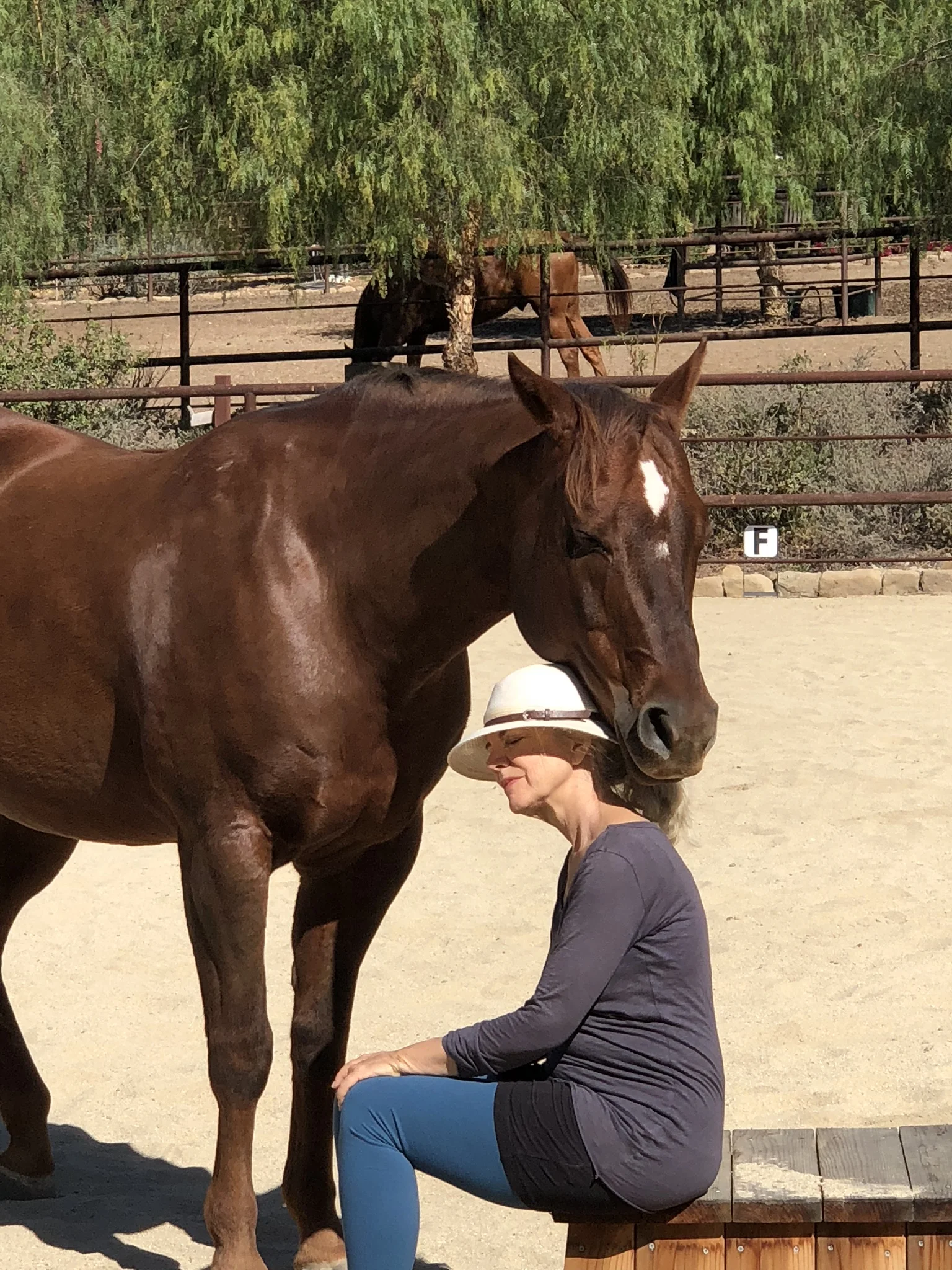 Ojai's Intuitive Horse Experience Horse, Heart & Connection