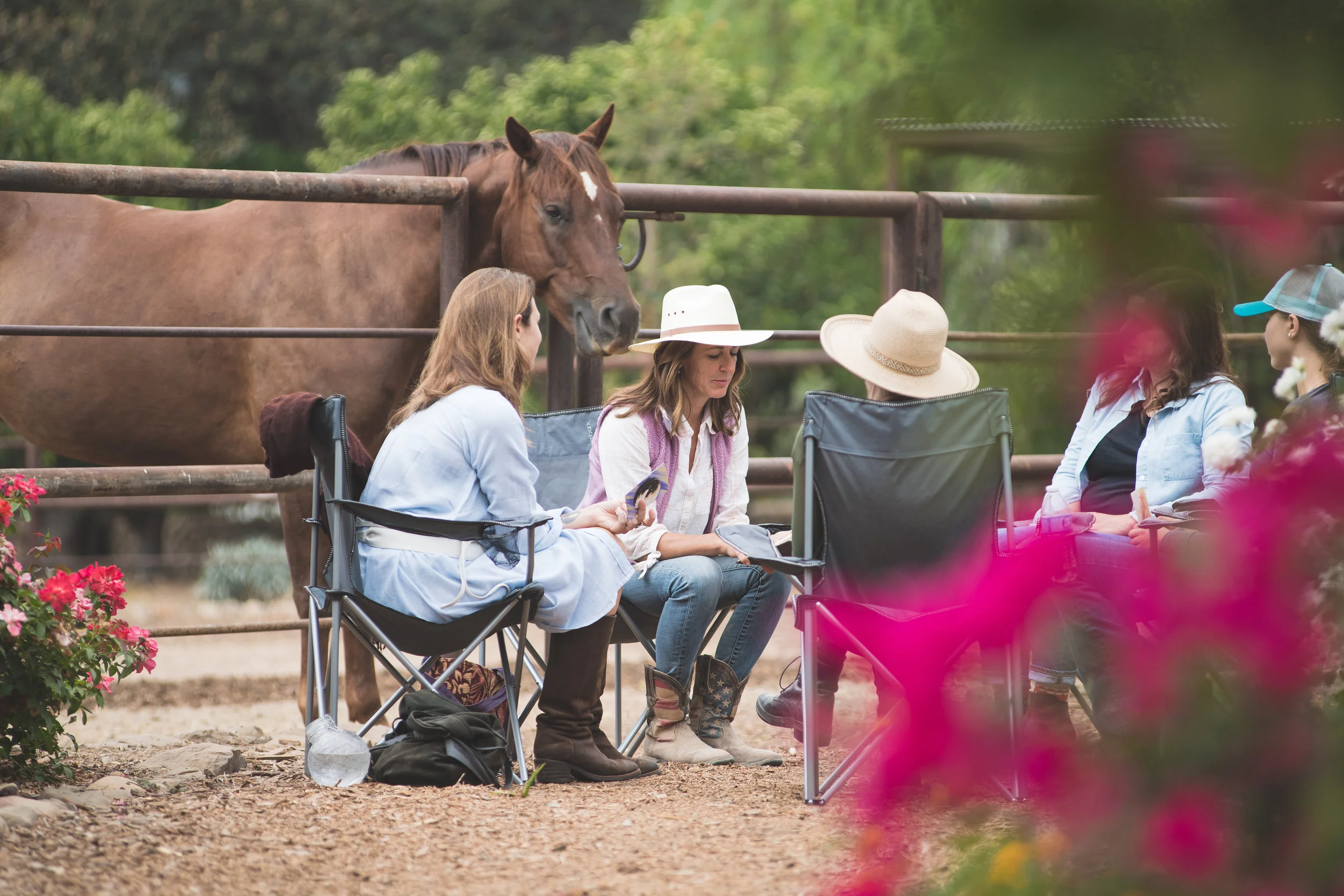 HorseMedicine-18.jpg