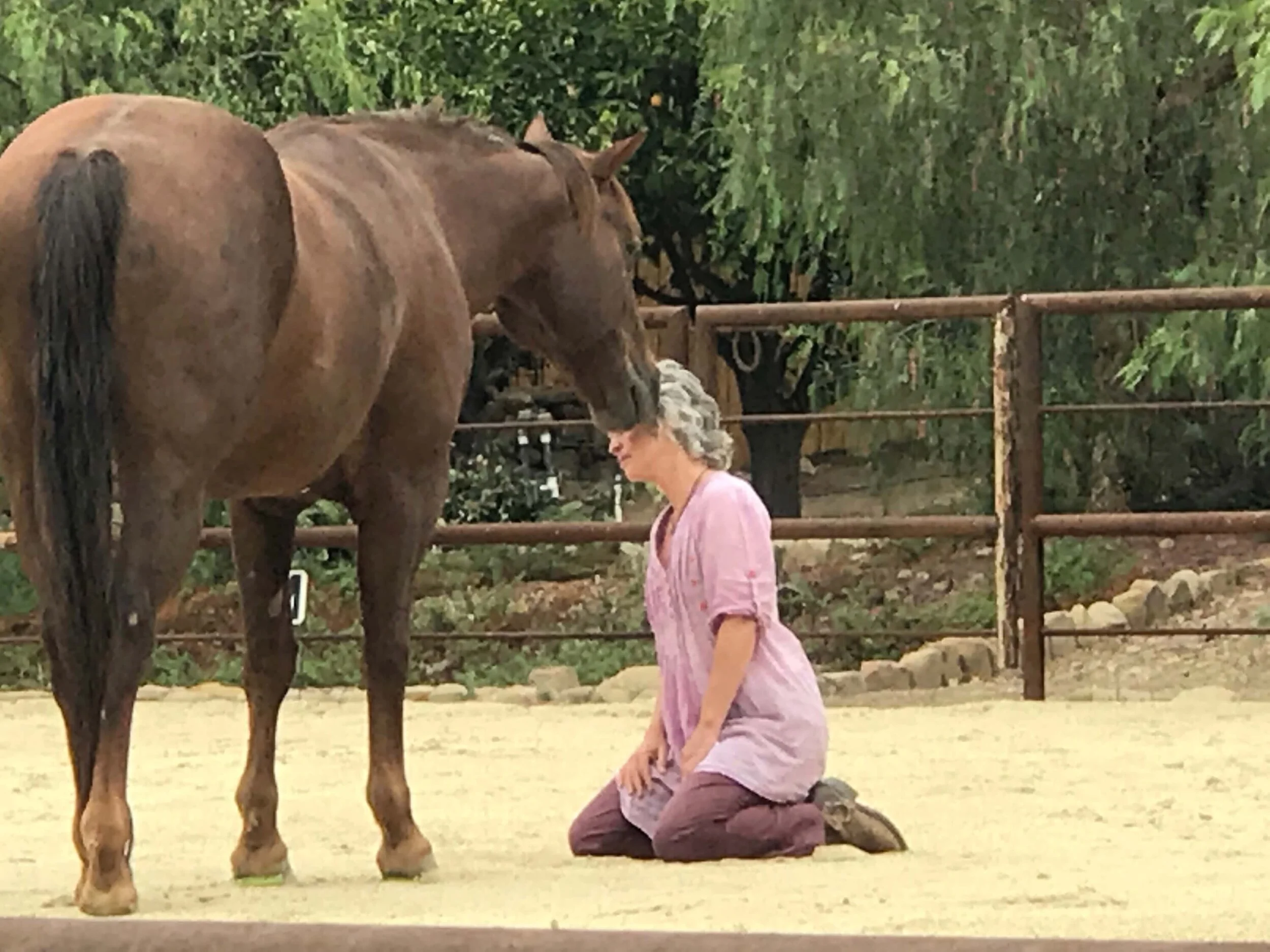 Top 5 Things to Do in Ojai, CA Horse, Heart & Connection