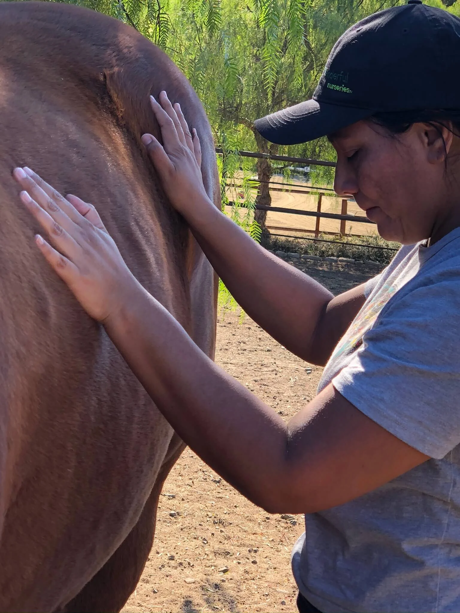 Equine Facilitated Learning - Is it for Me?