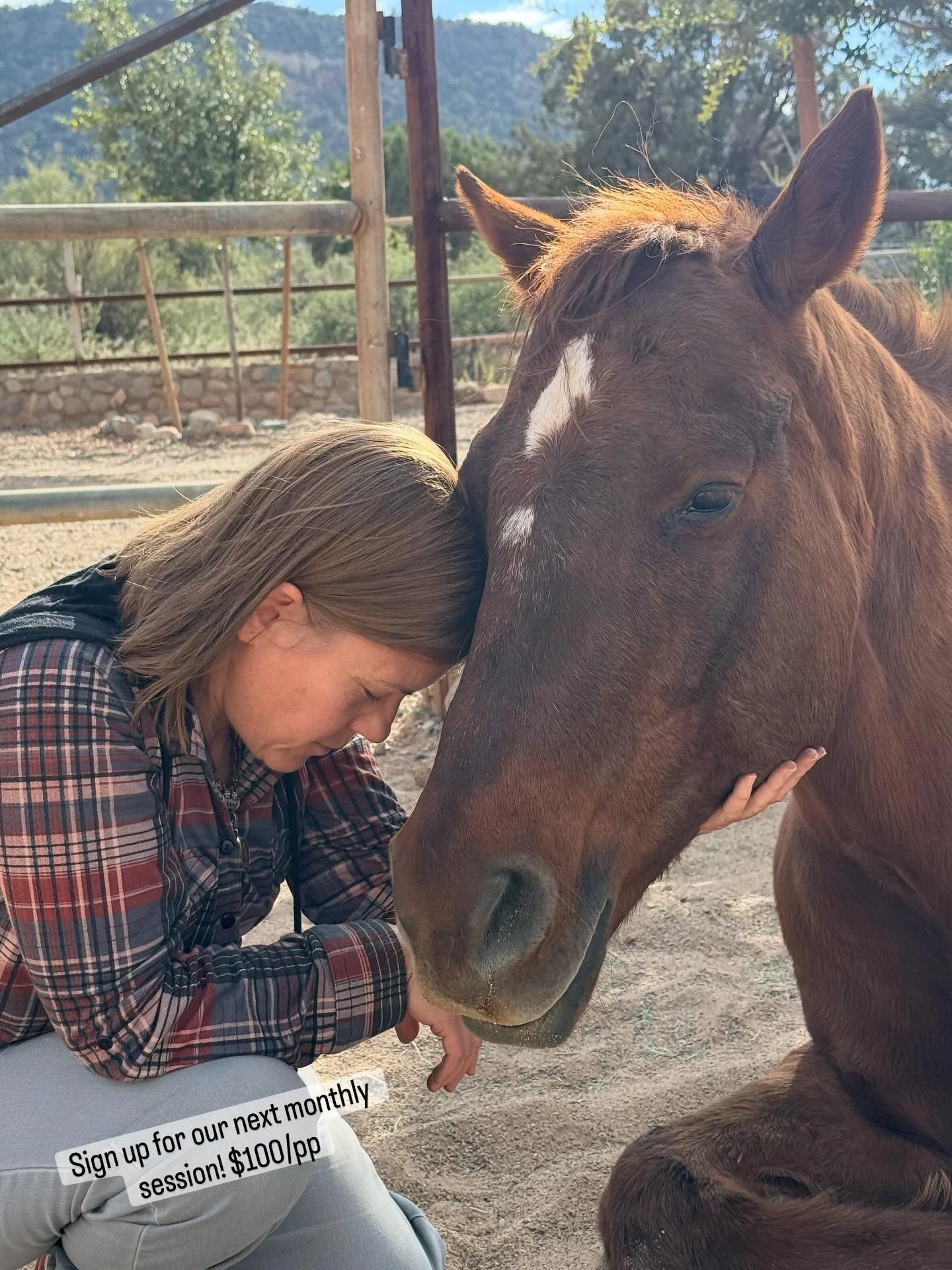 Come find your happy place at one of our monthly Horse, Heart &amp; Connection group sessions, so fun! New friends, new connections! #connection #NewFriends #Connect #horse #love #sedona