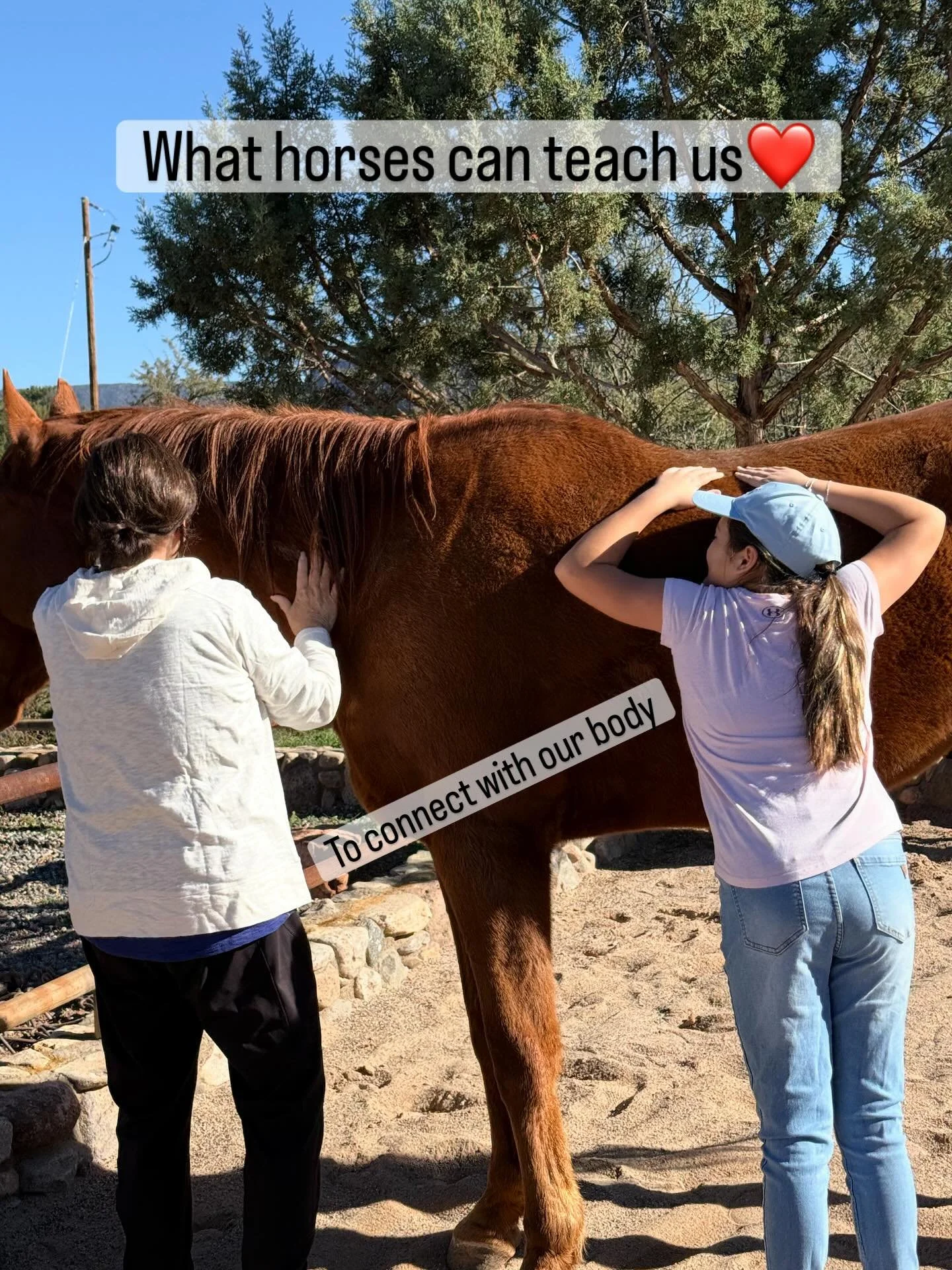 Horses are good teachers! Thank you Red &amp; Flash❤️ #sedona #familytime❤️ #grandparentlove #horse #heart #connection