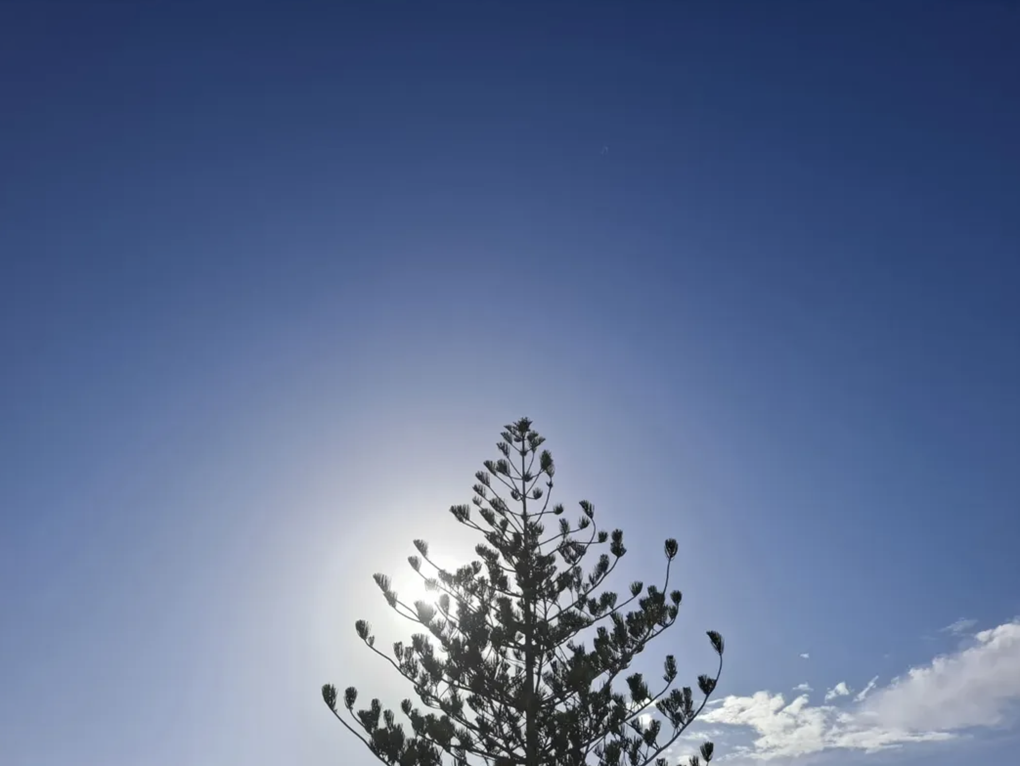 TessaBaliHolistic Consultation slots in Bali, Indonesia, for 16 – 27th March 2026