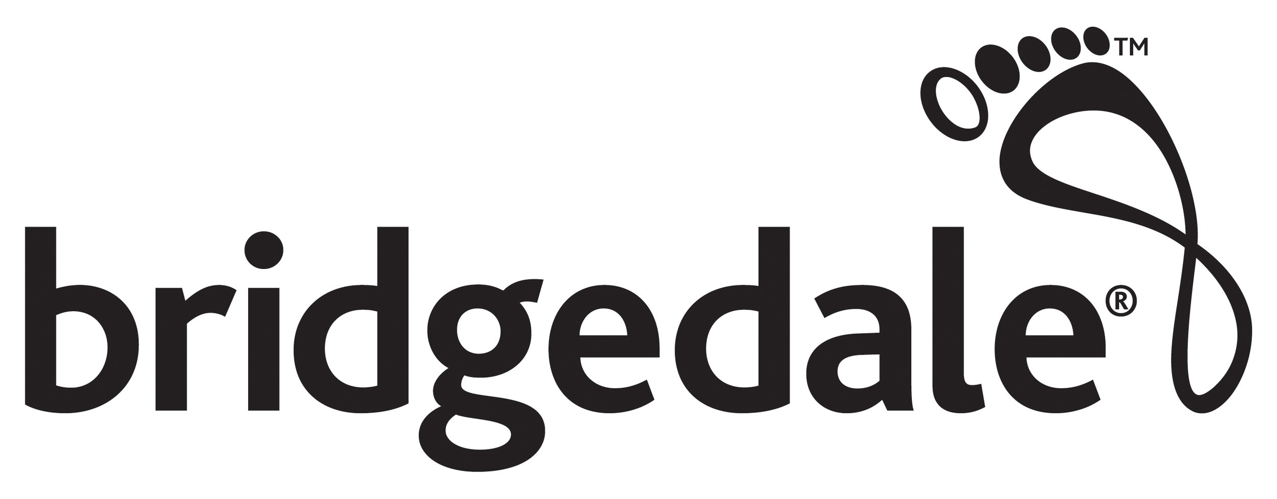 Bridgedale Logo Black Hi Res.jpg