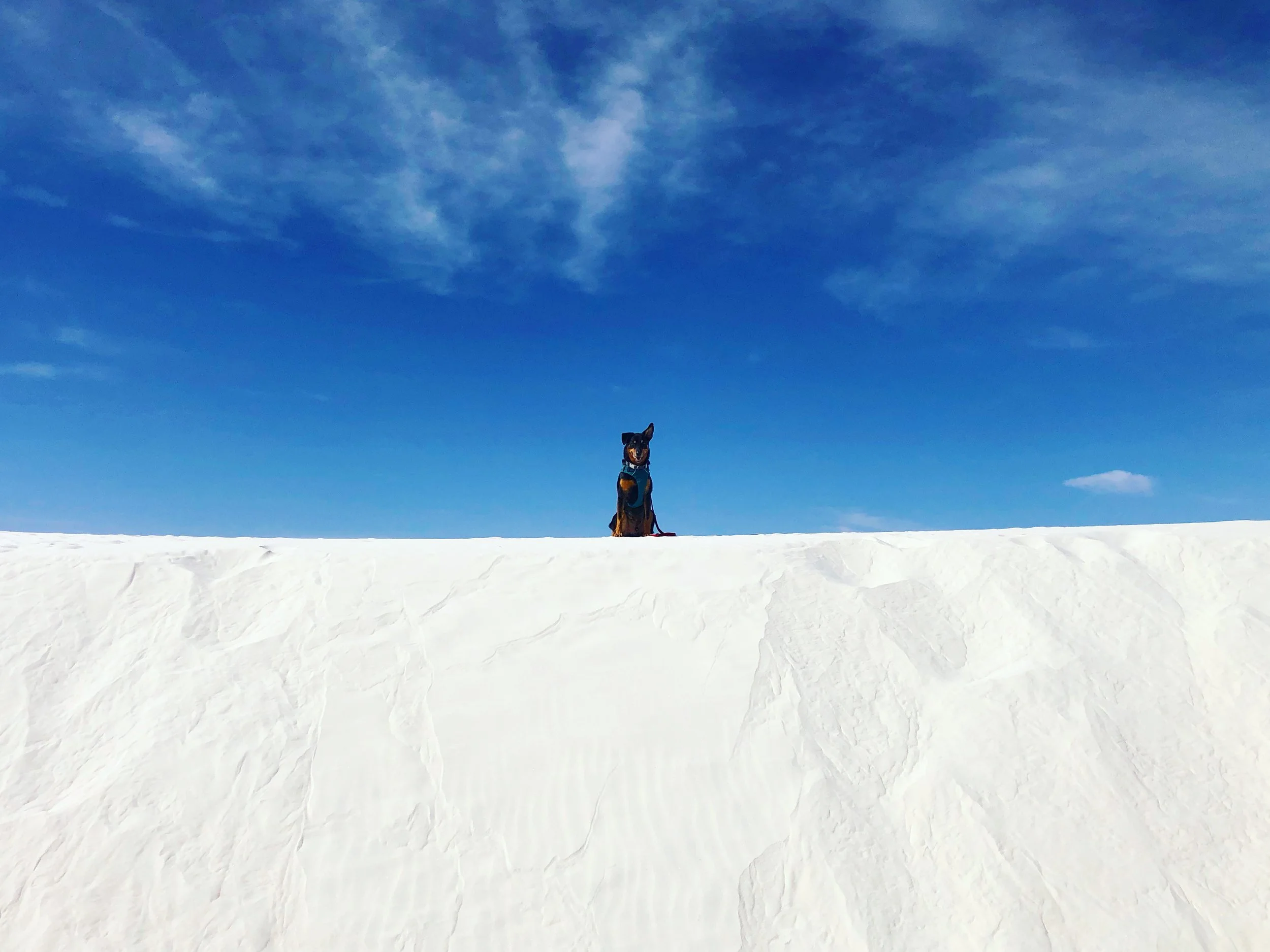 Hiking White Sands (2022)