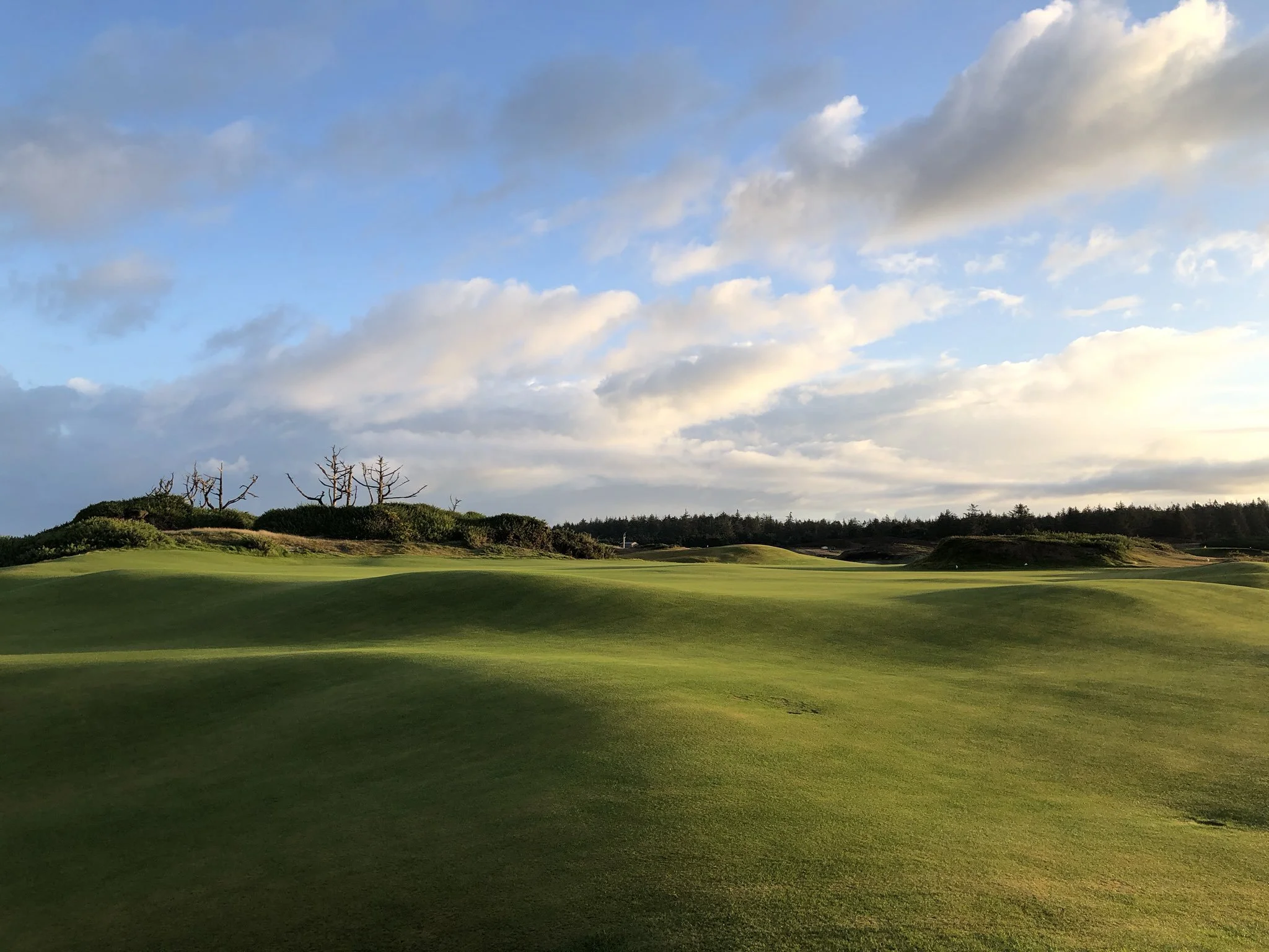 Sheep Ranch No. 3