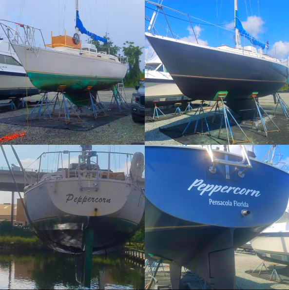 before and after peppercorn.png