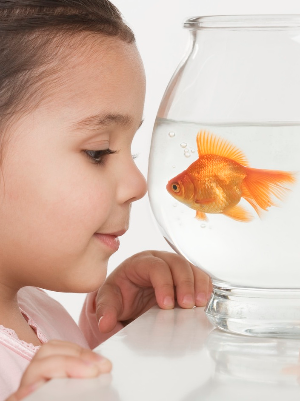 Girl_Fish_Bowl_.png