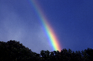 rainbow_Primordial-Light.png