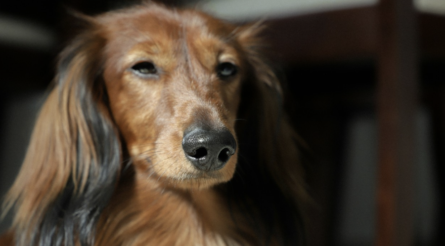 Nonprofits Keep Talking About Scarcity. What If We Started Talking About Power?